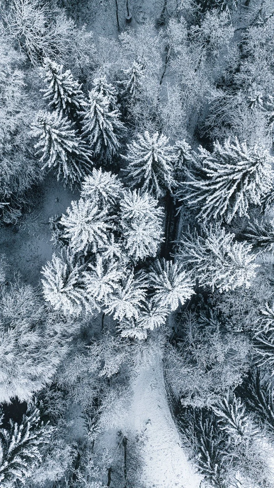 DJI_0463.jpg