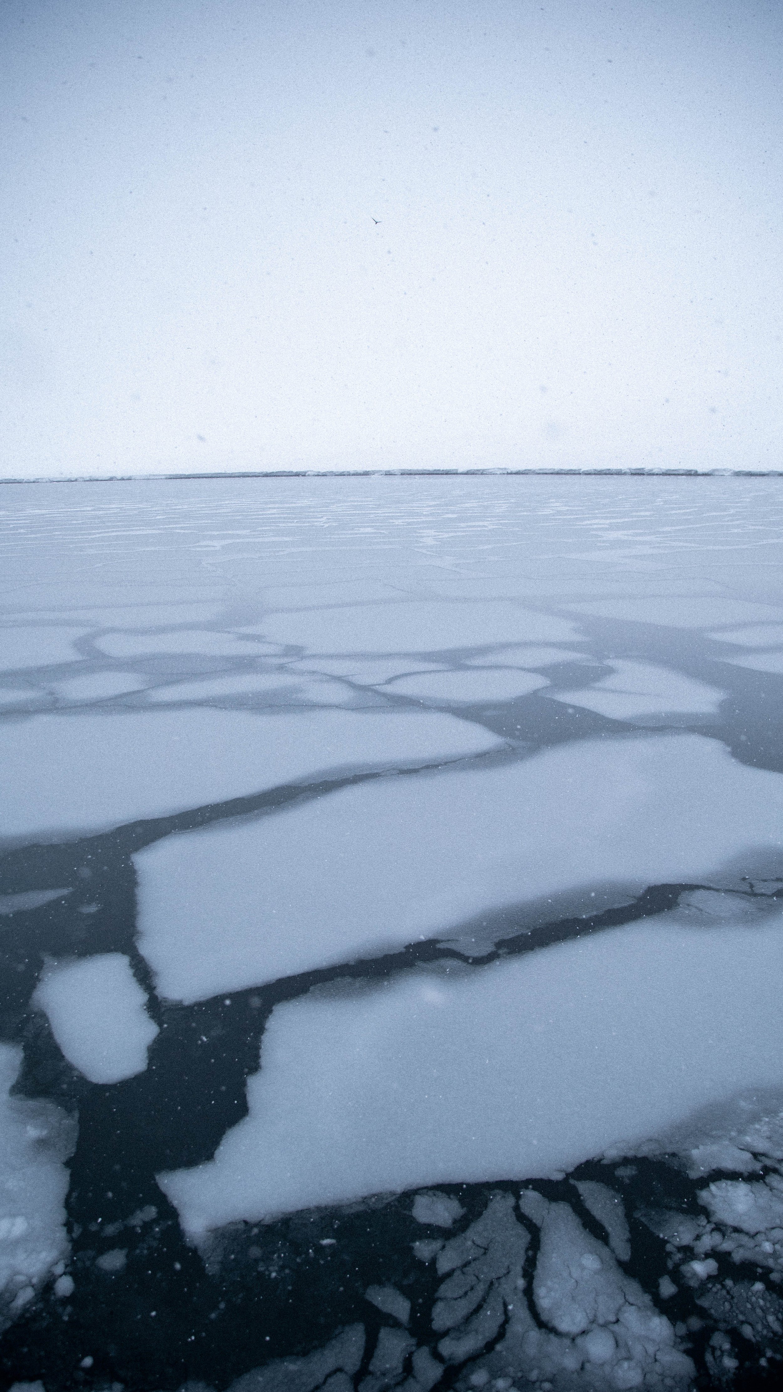 _DSC8483.jpg