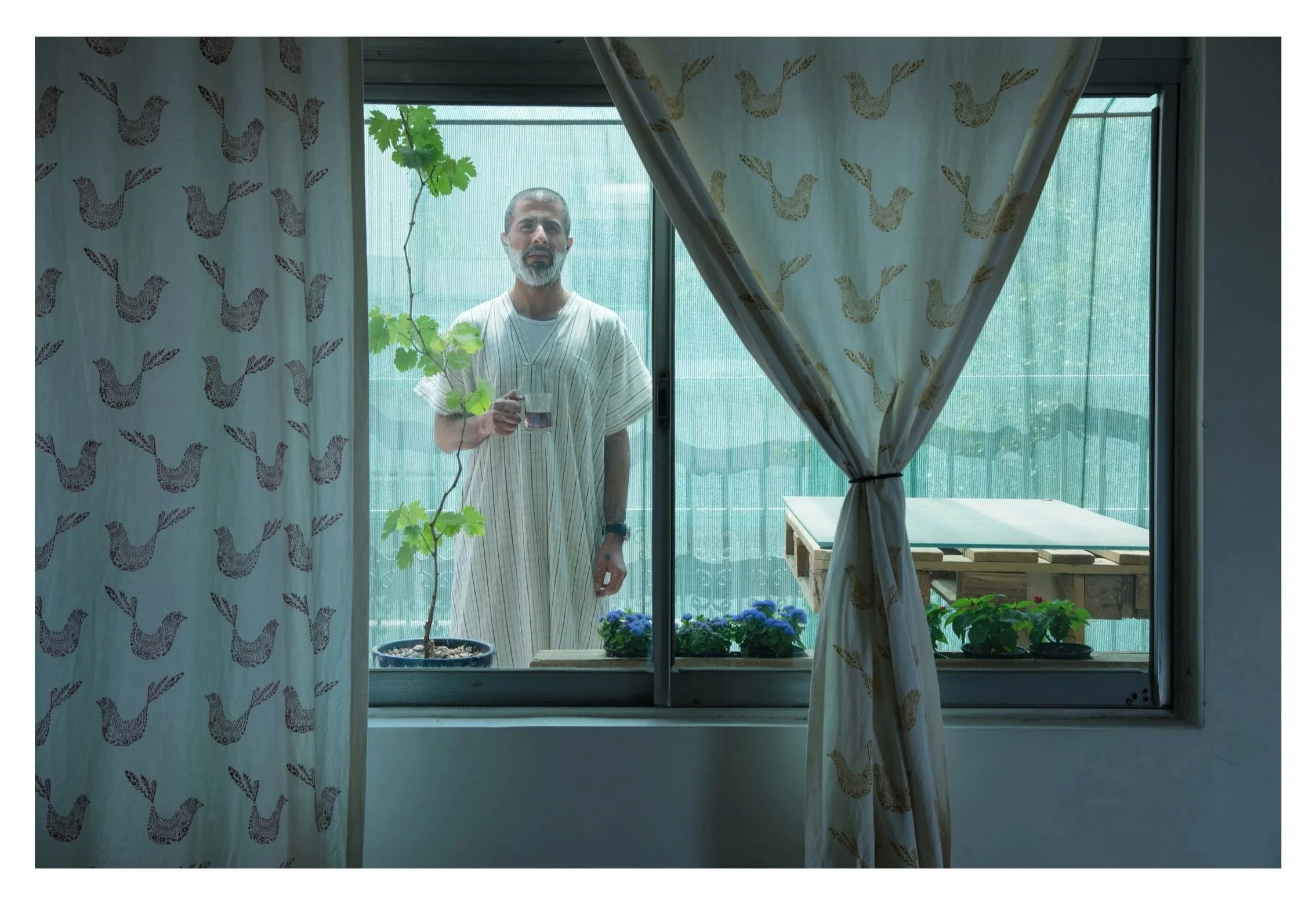A man with a beard standing outside on a balcony, holding a glass, seen through a window framed by curtains with a chicken pattern. There is a small tree with green leaves in a pot and some flowers on a wooden table outside.