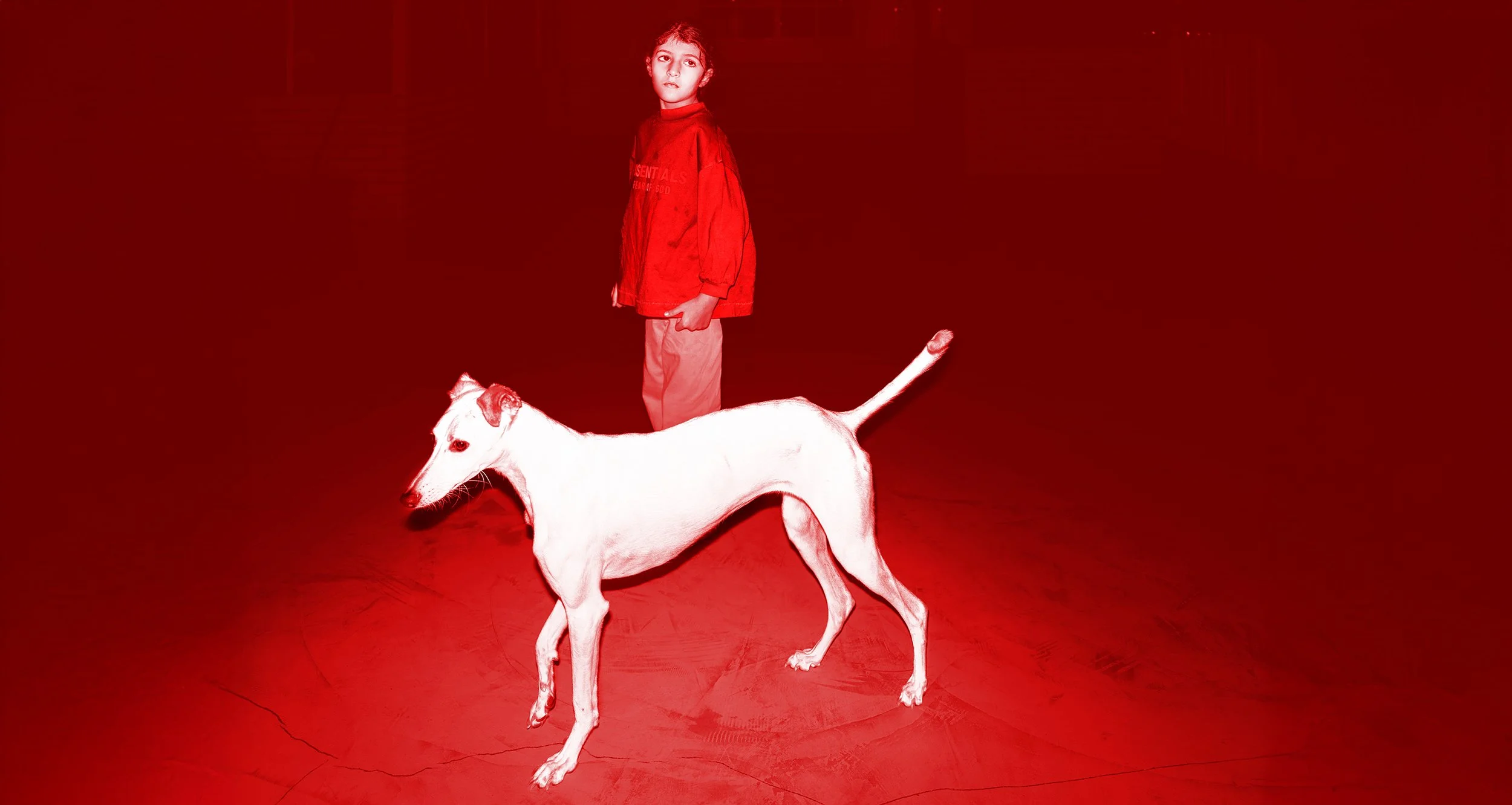 portrait of young girl with her dog in an artistic red ambient