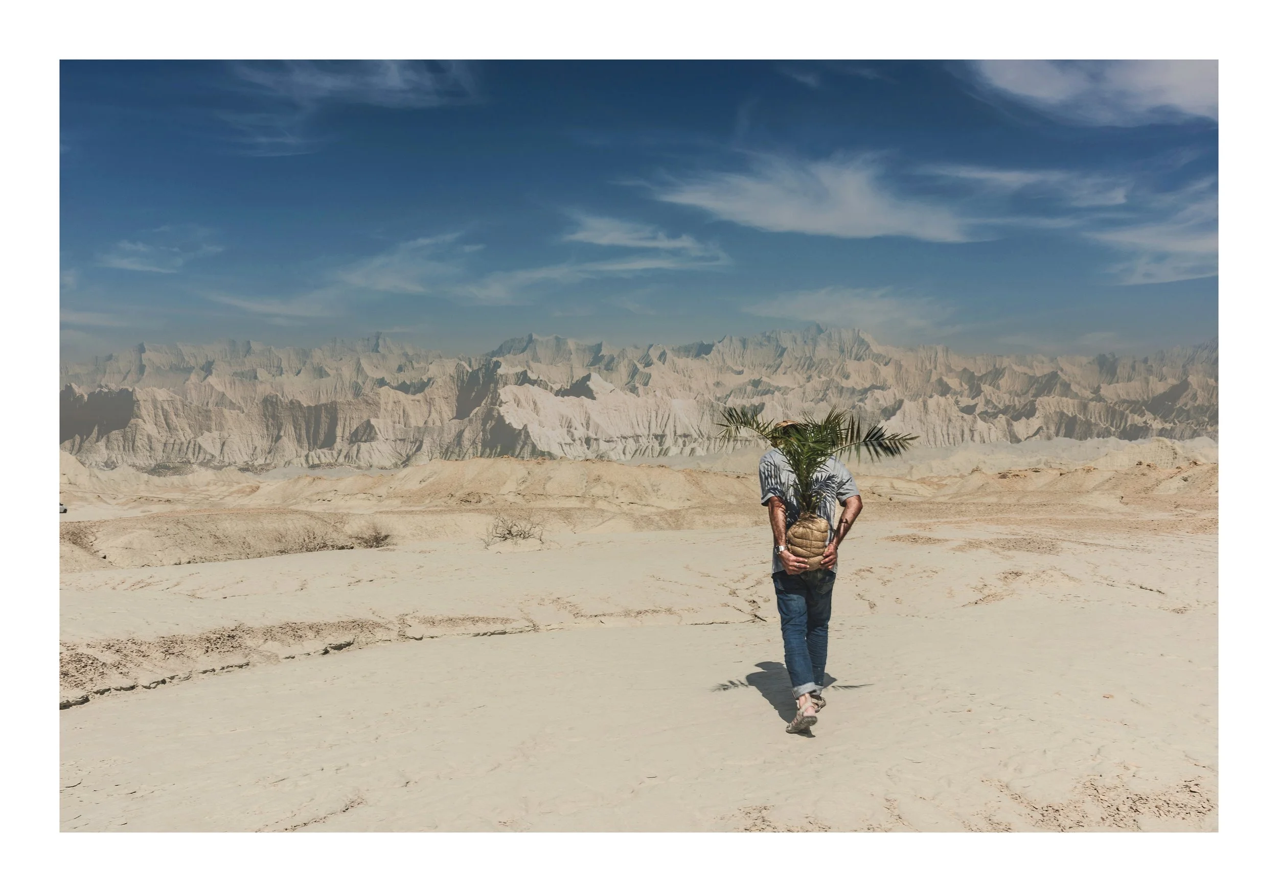 Person walking in a desert landscape with white rocky mountains in the background, blue sky with clouds, and holding a small palm tree in front of them.