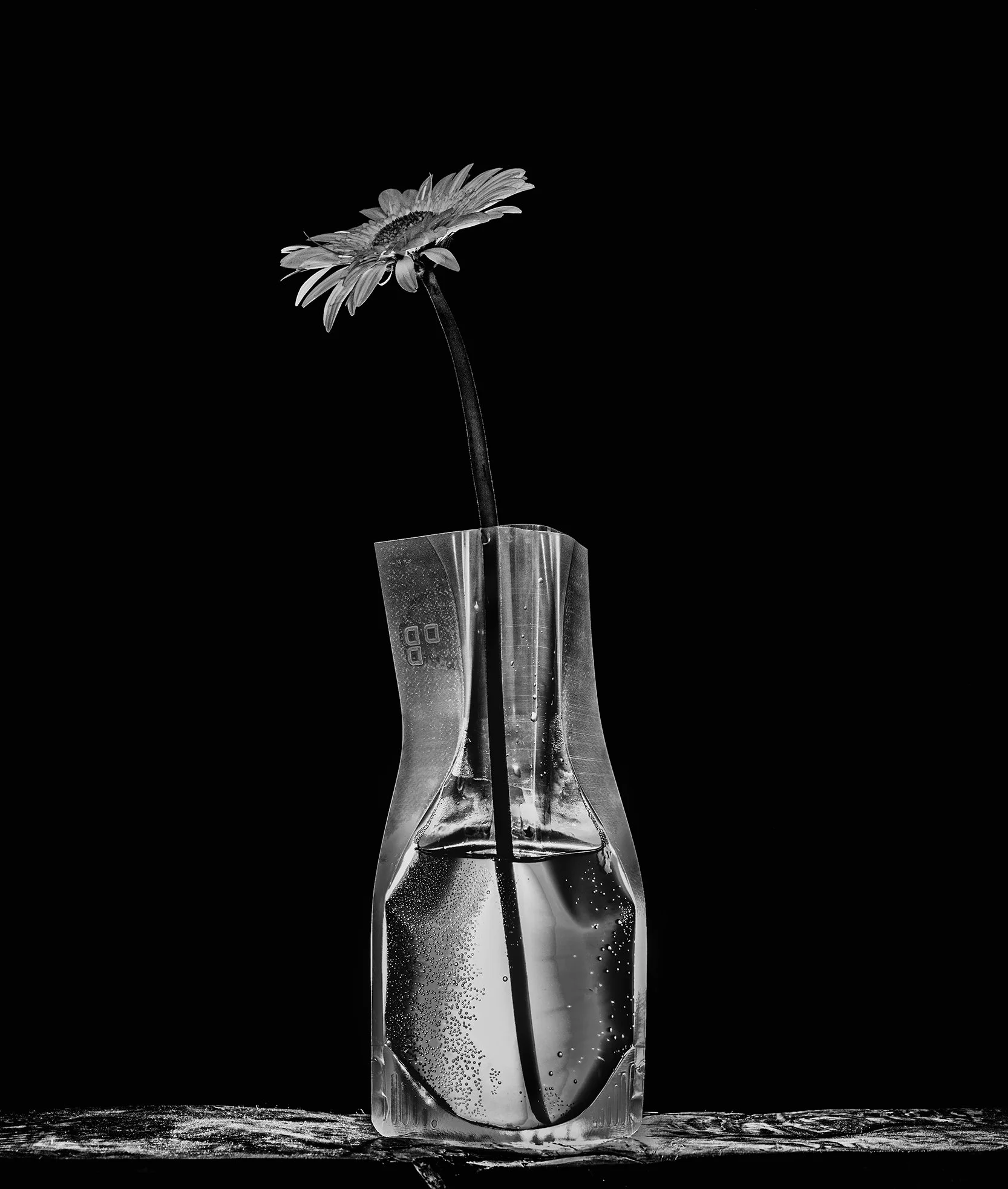 A black and white photo of a single daisy flower in a glass vase, with condensation on the vase, against a solid black background.