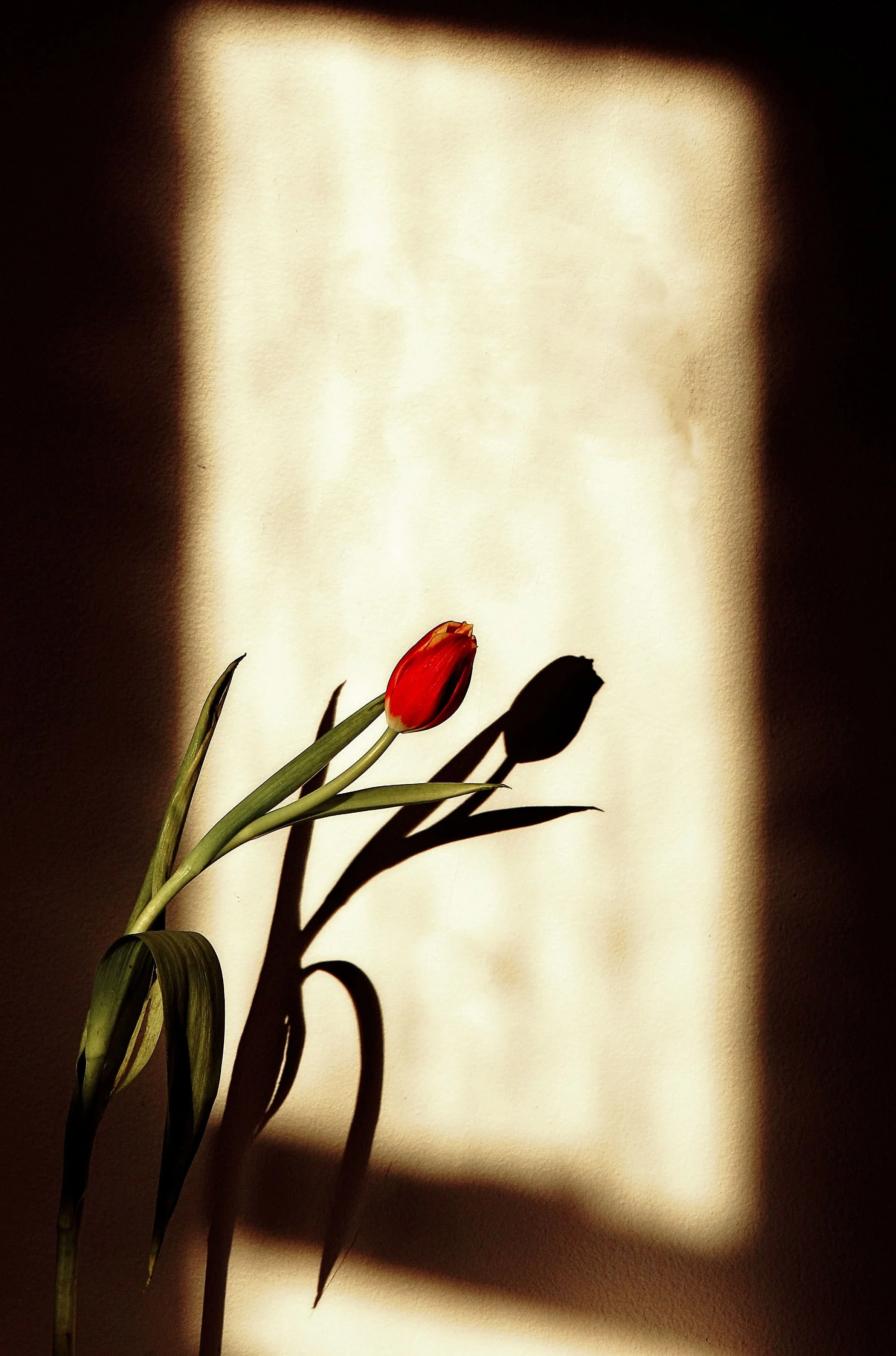 _DSC0006-Exposure-Exposure.jpg