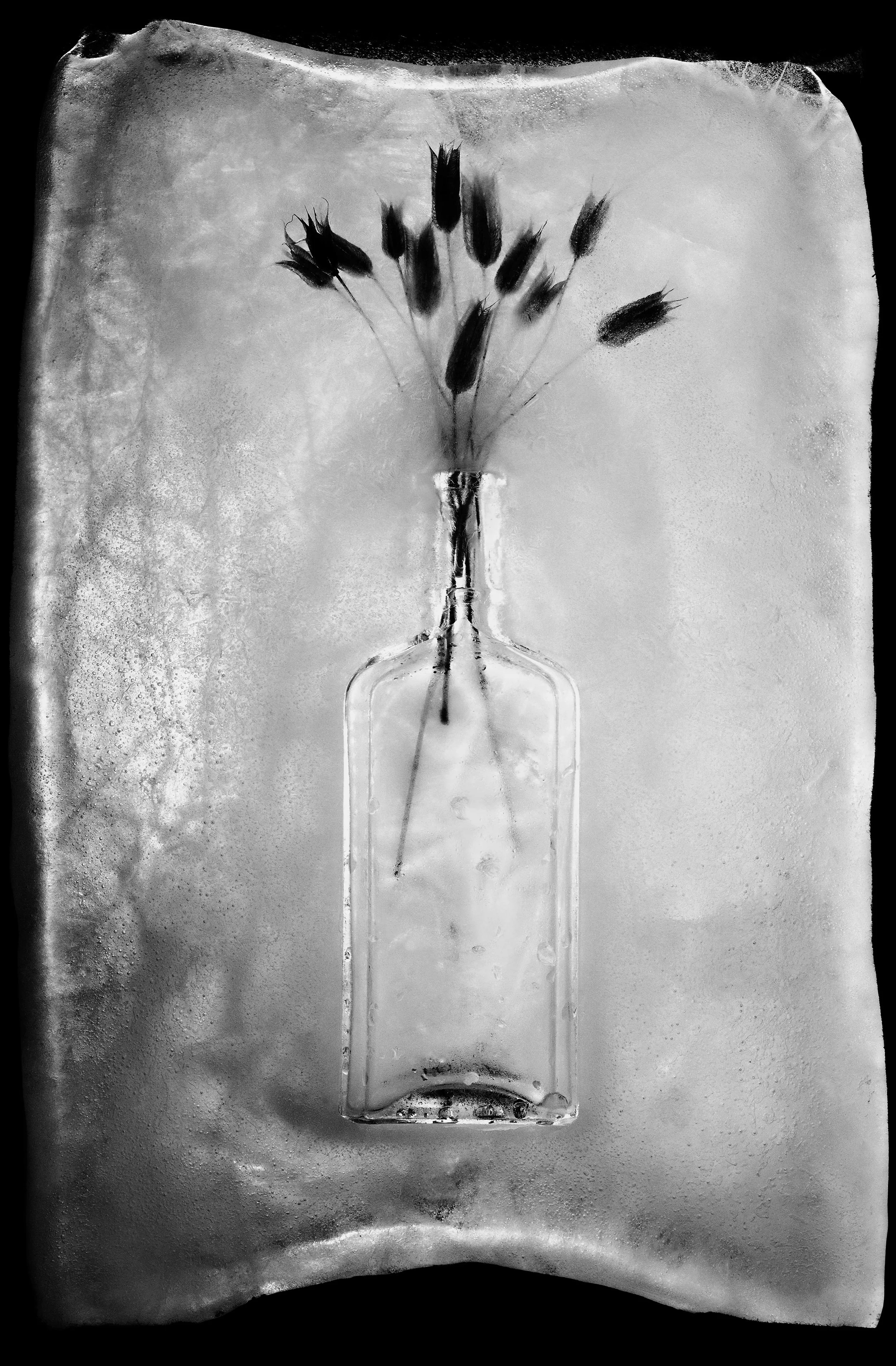 11x14 dodged copy-Exposure.jpg