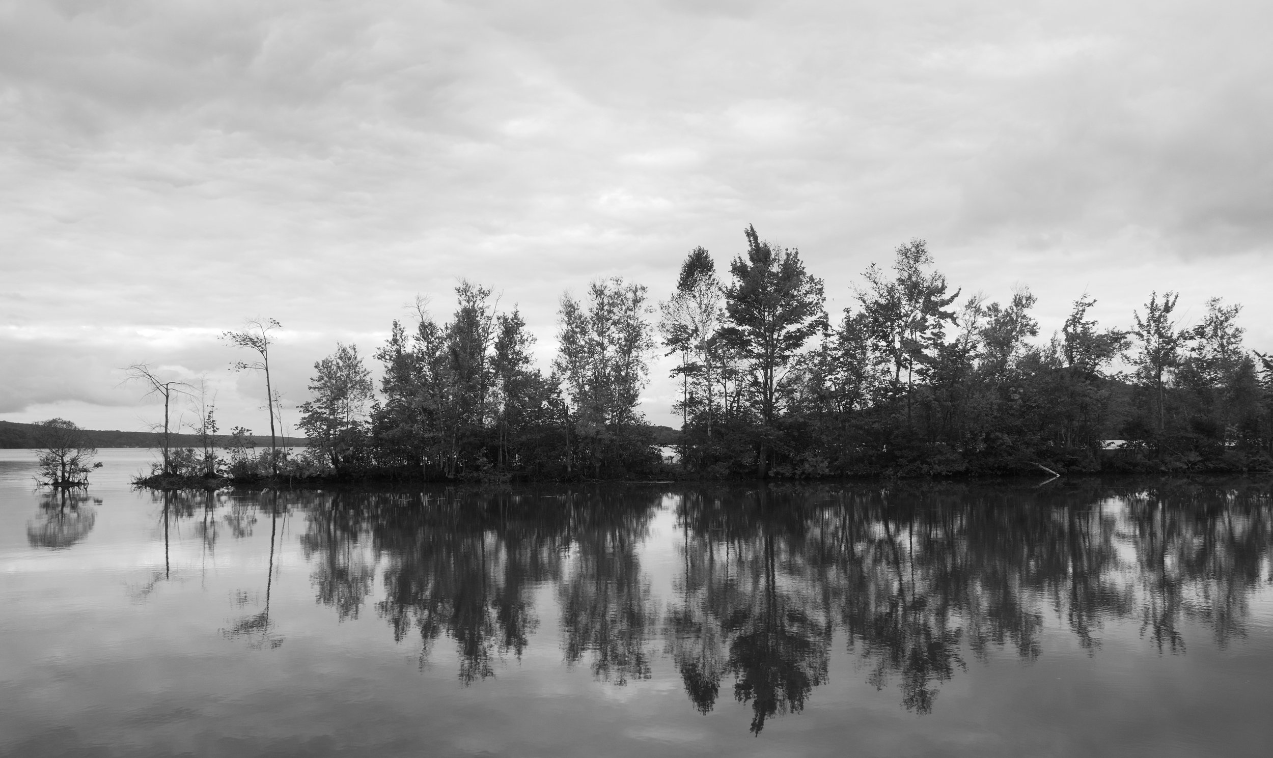 DSC_0027 2.jpg