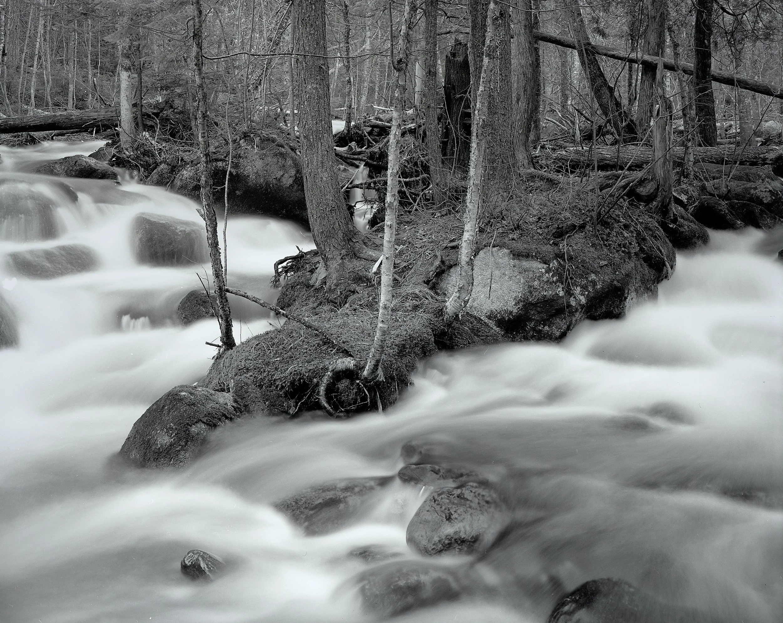 img059[1]-Exposure-Exposure.jpg