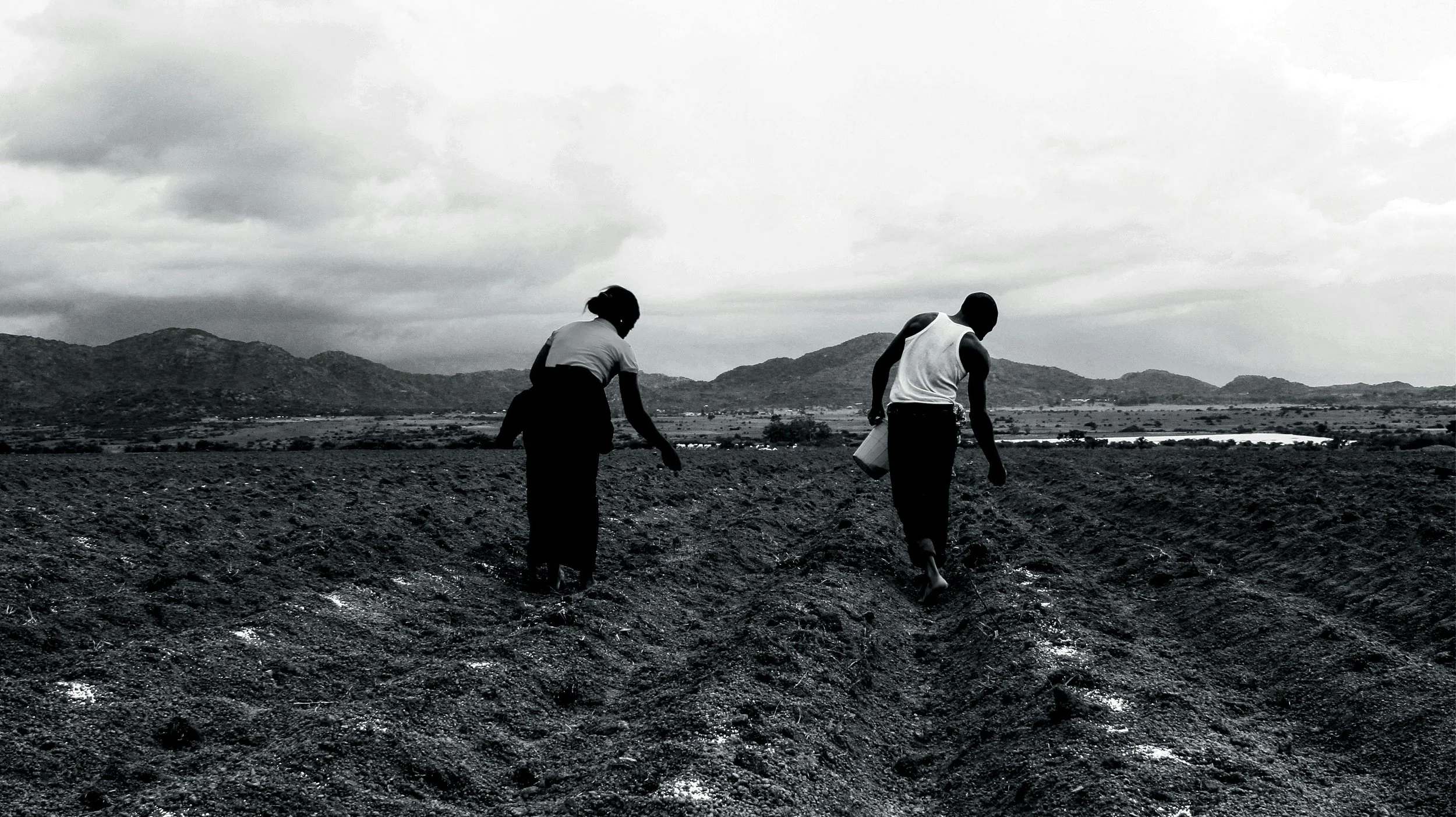 Two people working in a field under a cloudy sky with mountains in the background, black-and-white photograph.
