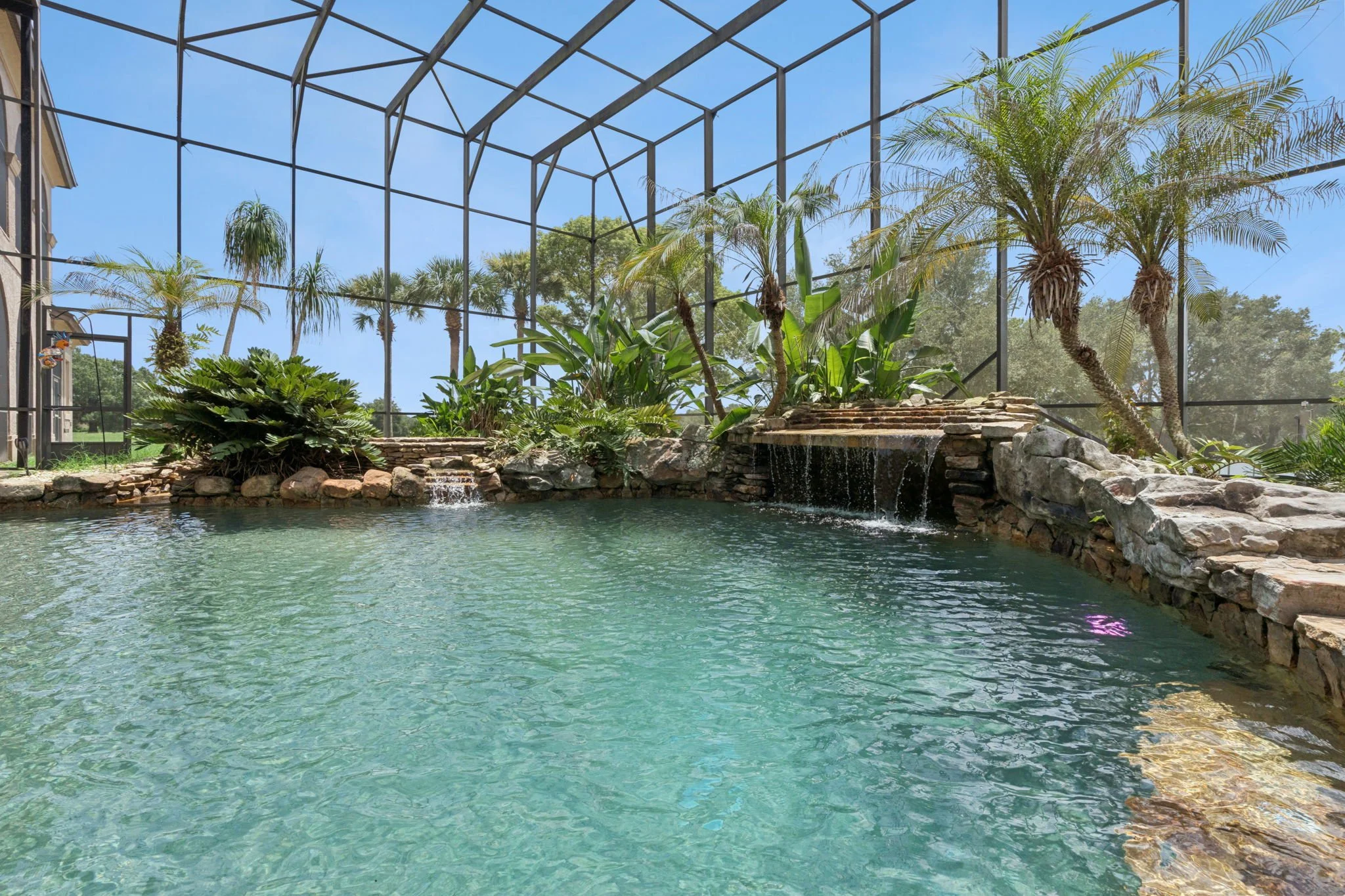 Indoor pool with water feature, surrounded by tropical plants, under a metal-framed glass ceiling, sunny outdoor sky visible.