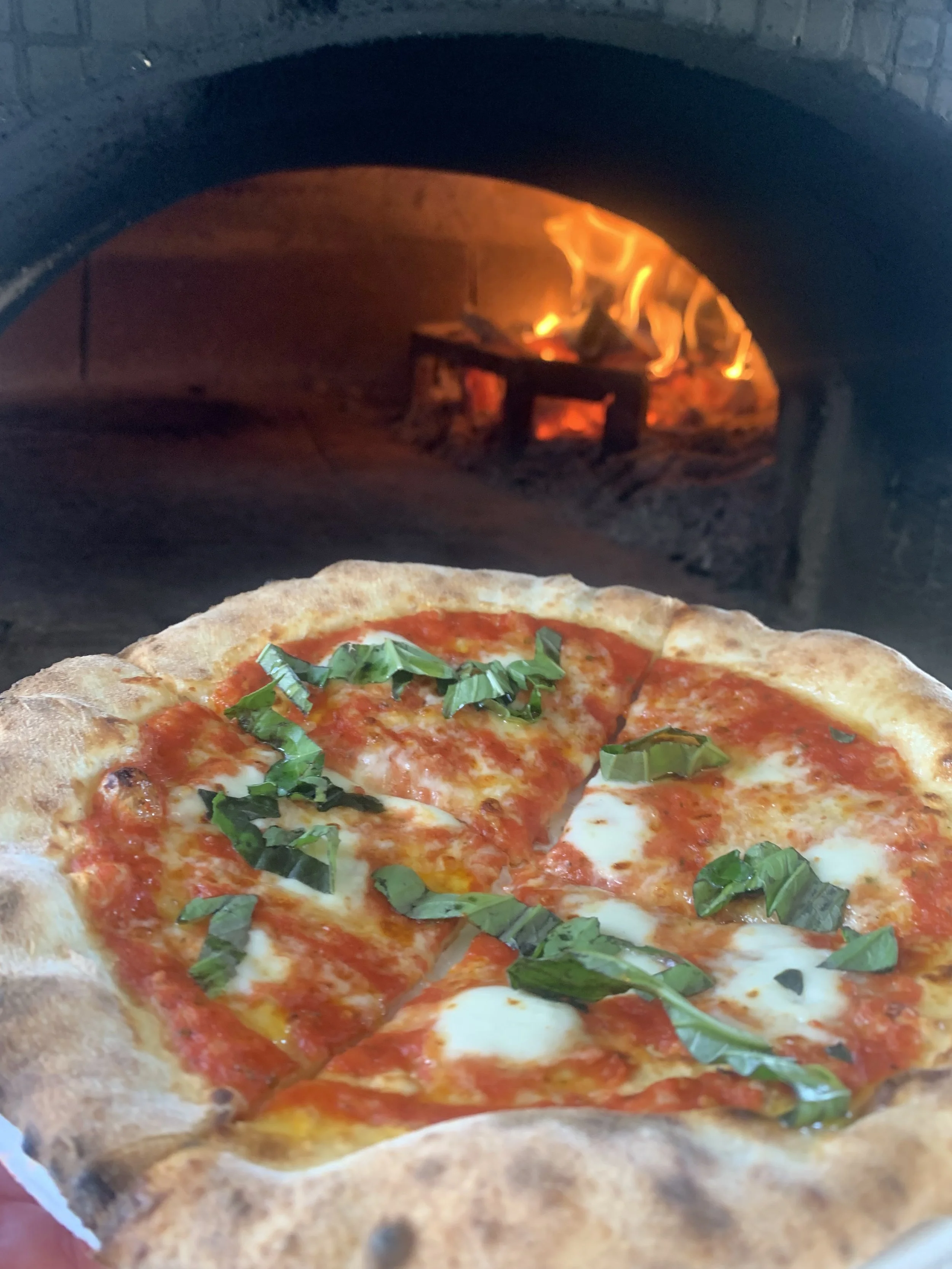 Close-up of a freshly baked pizza topped with tomato sauce, melted cheese, and chopped basil, inside a wood-fired oven with visible flames.