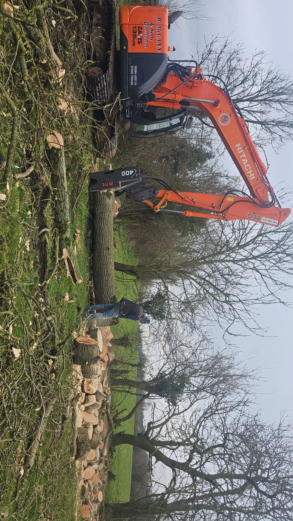 TreeCutting1.jpg
