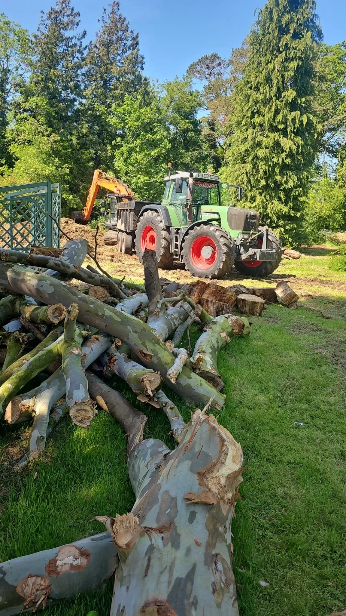Trees1.jpg