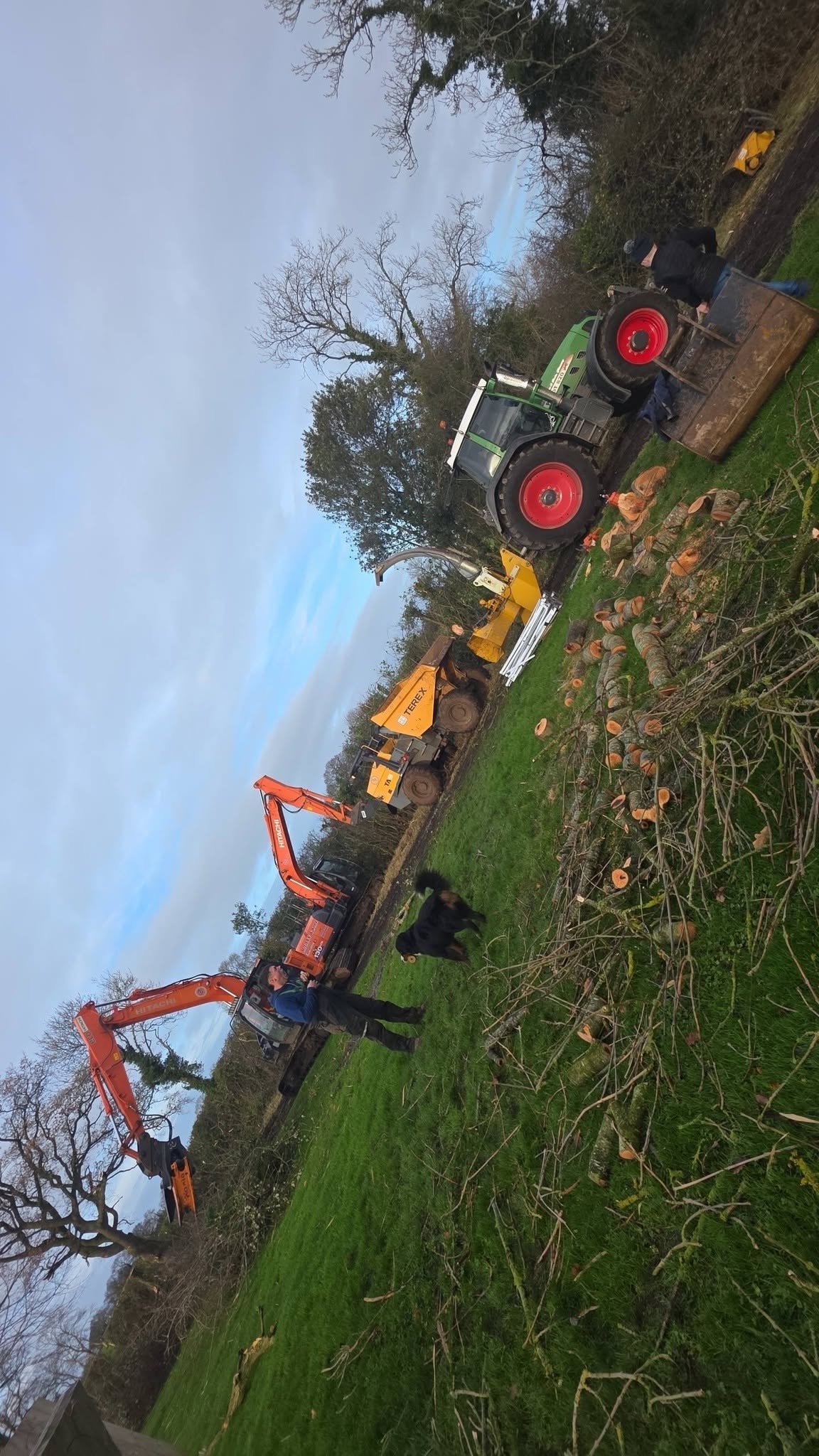 Construction workers using heavy machinery, including excavators and a tractor, to clear fallen trees and debris in a grassy area during daytime.
