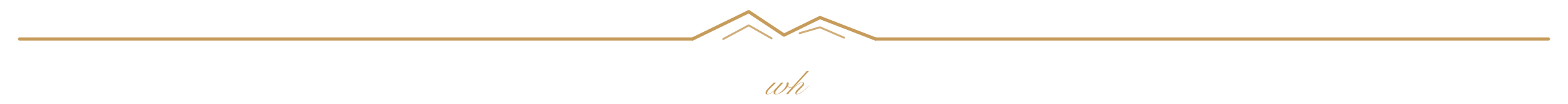 Close-up of a vintage-style black and gold sign reading "Whiskey".