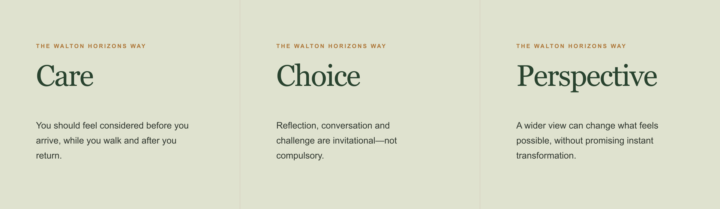 Three sections titled 'Care', 'Choice', and 'Perspective' with subtitles and short descriptions, about mindful reflection and perception, with the header 'The Walton Horizons Way' at the top of each section.