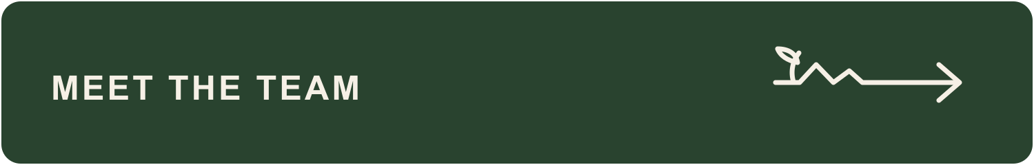 Green button with white text that says 'Meet the Team' and a white arrow with a small plant icon on the right