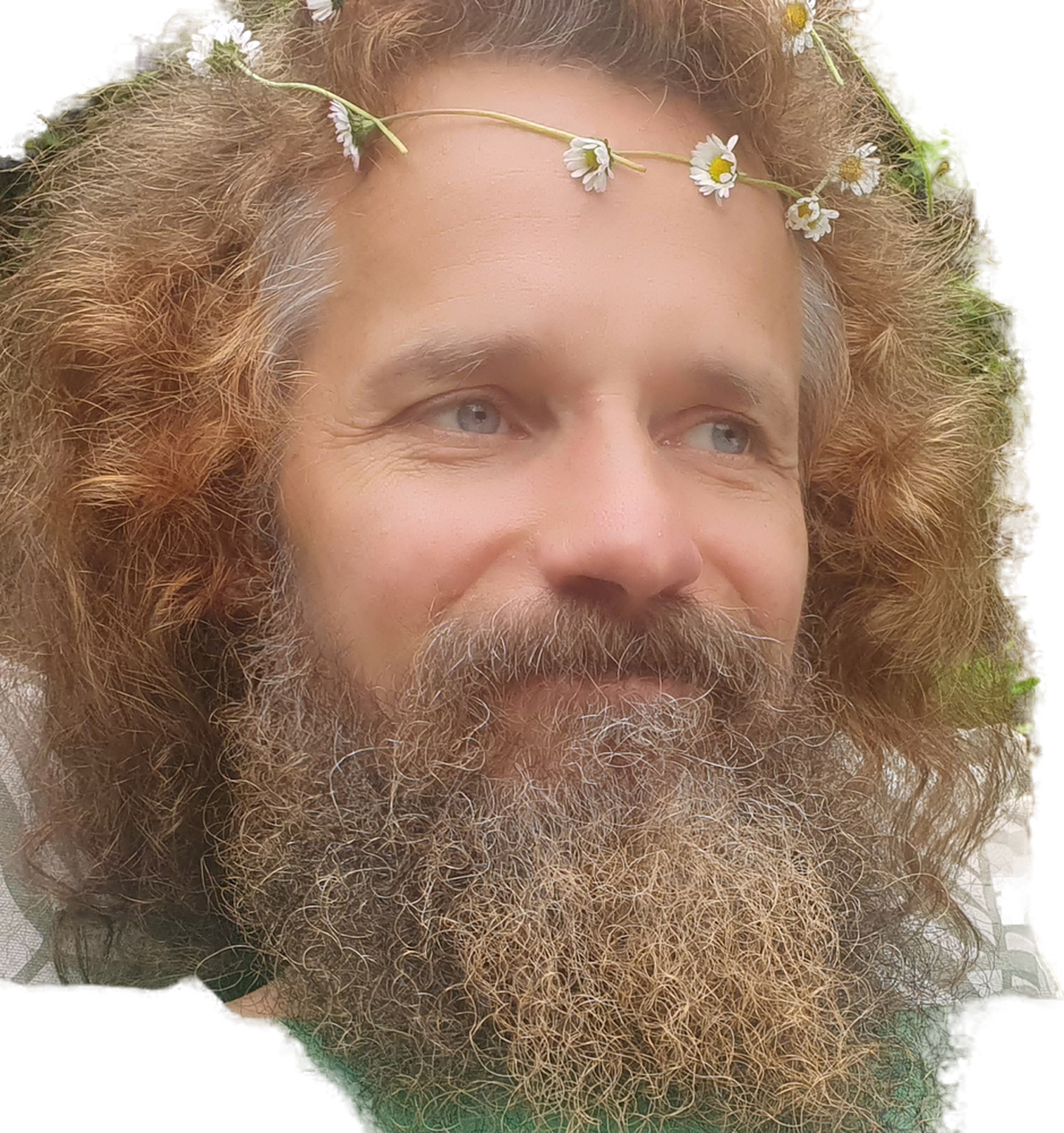 A close-up of a man with curly, red hair and a full beard, wearing a daisy flower crown on his head, outdoors with green background.