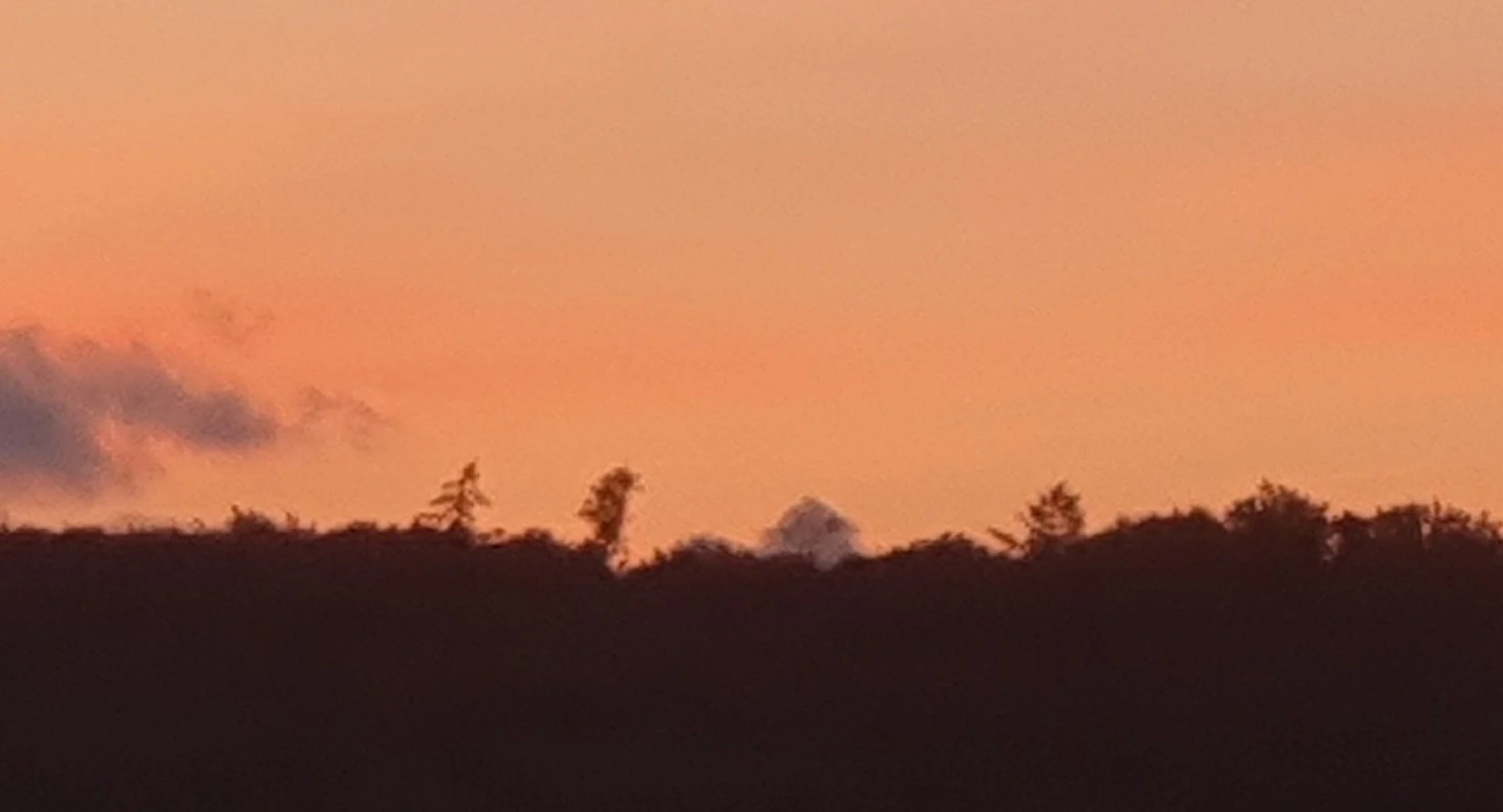 Silhouette of trees against a pink-orange sunset sky.