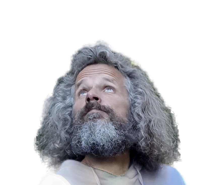 A man with long, curly gray hair and a full gray beard looking upward.