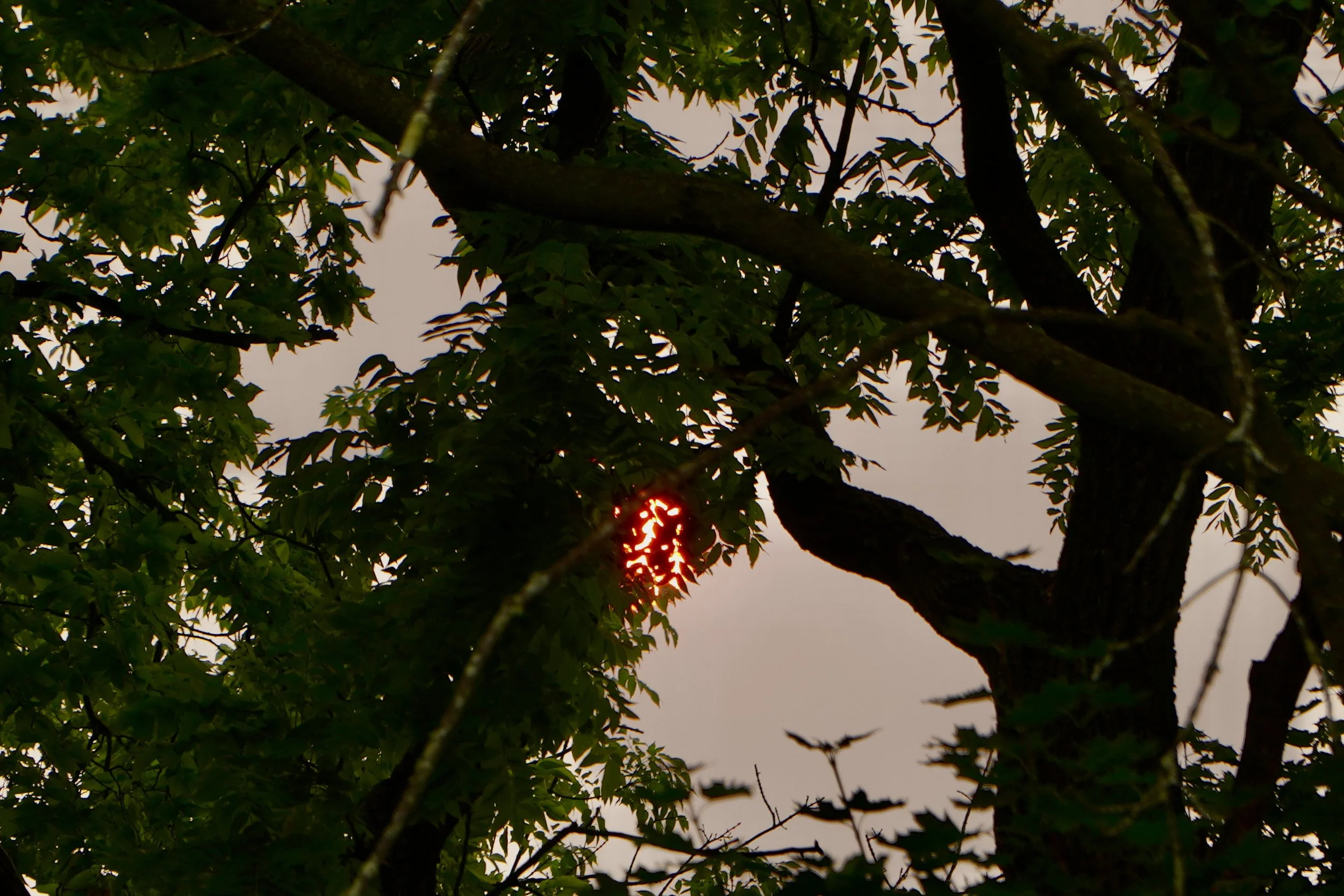 DSC00314.JPG