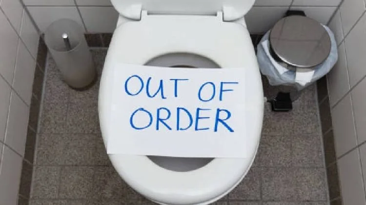 Toilet Repair or Replacement in Edmonton: What You Need to Know