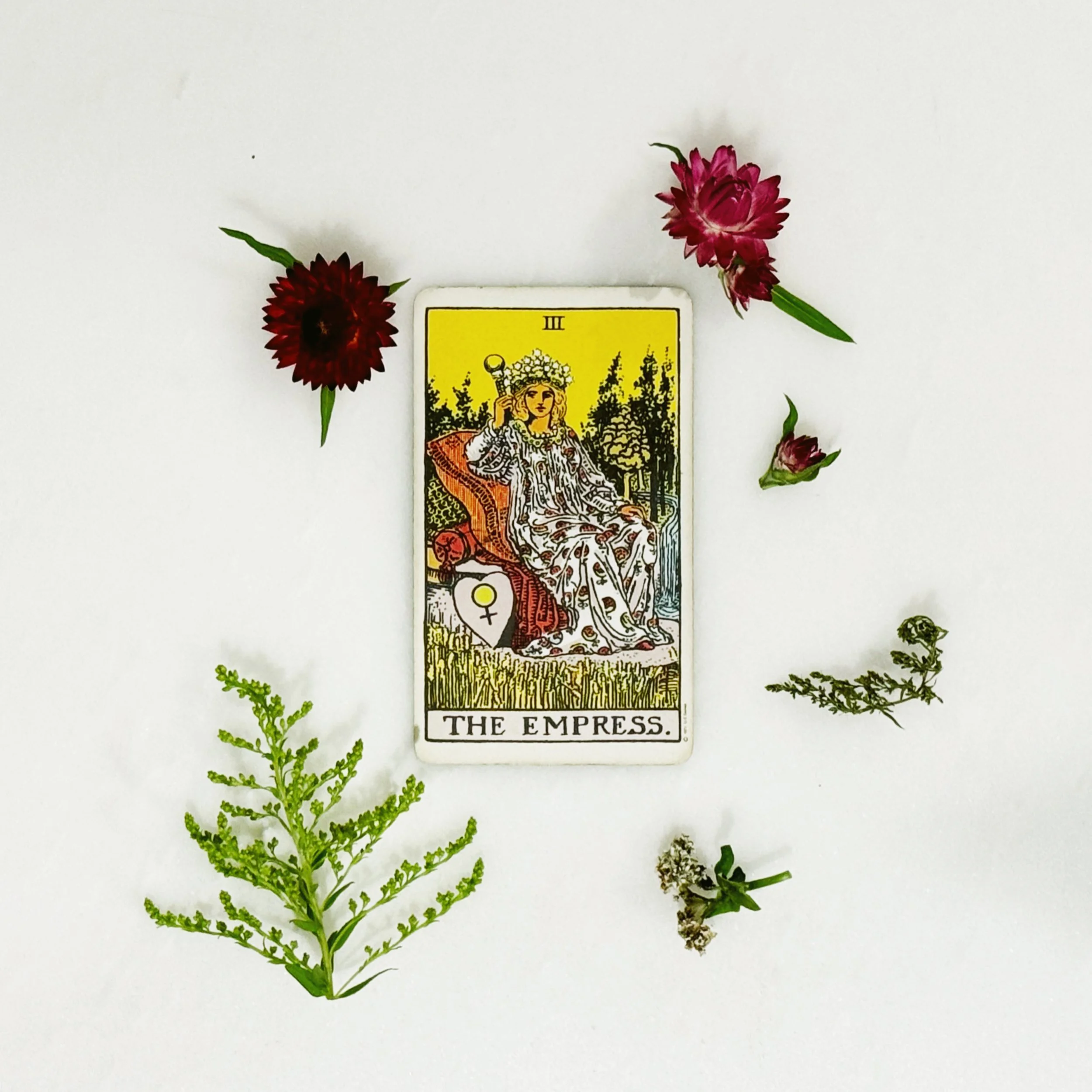 a tarot card art work from the Giving Mystical Instagram Feed