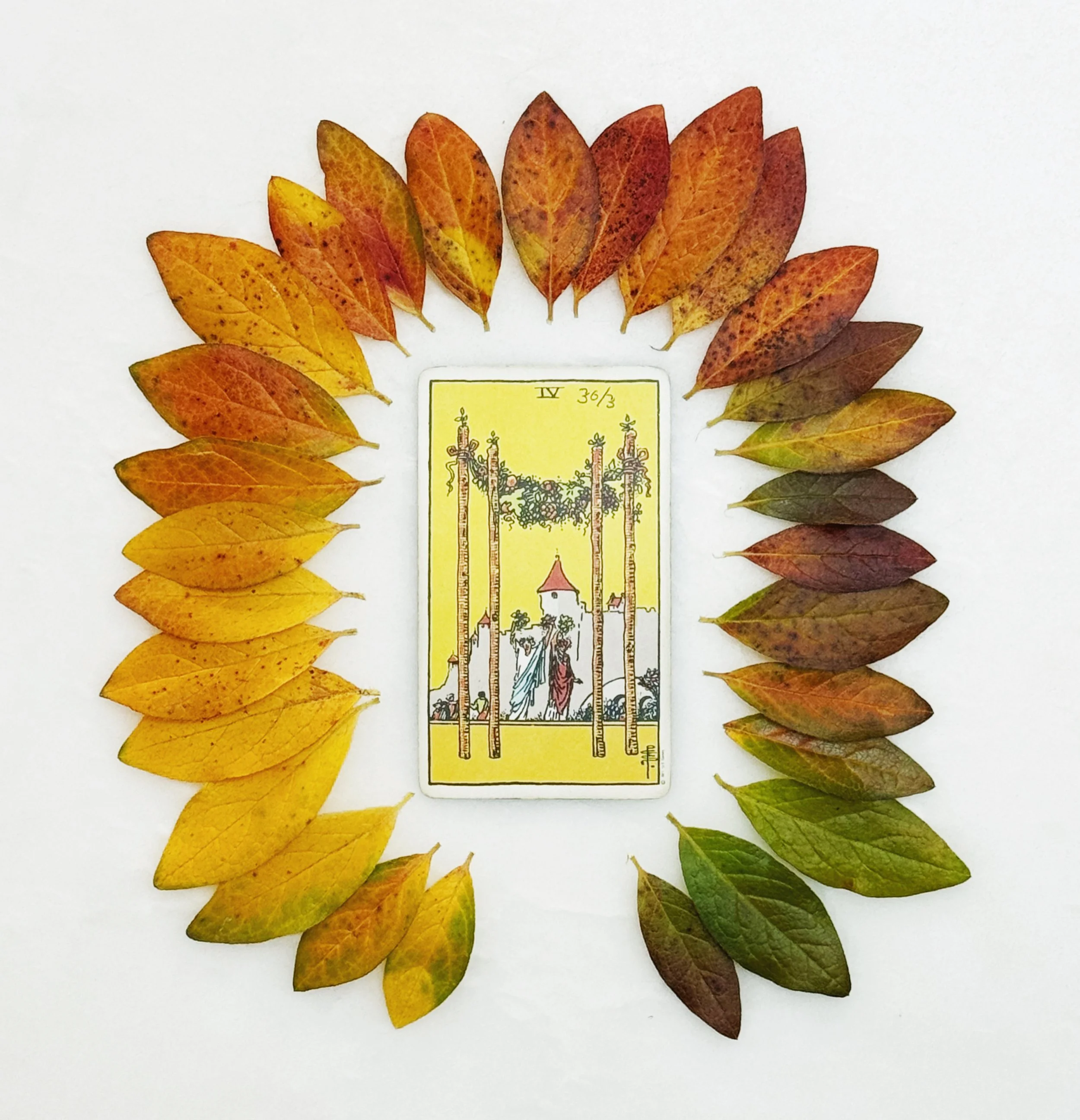 a tarot card art work from the Giving Mystical Instagram Feed