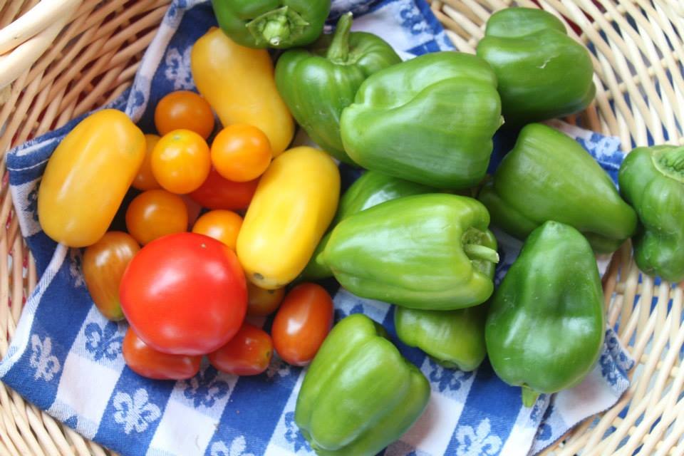 Assorted fresh vegetables including green and yellow bell peppers, cherry tomatoes, and a large red tomato are vegetables sold at the Baraboo Sunday Market.