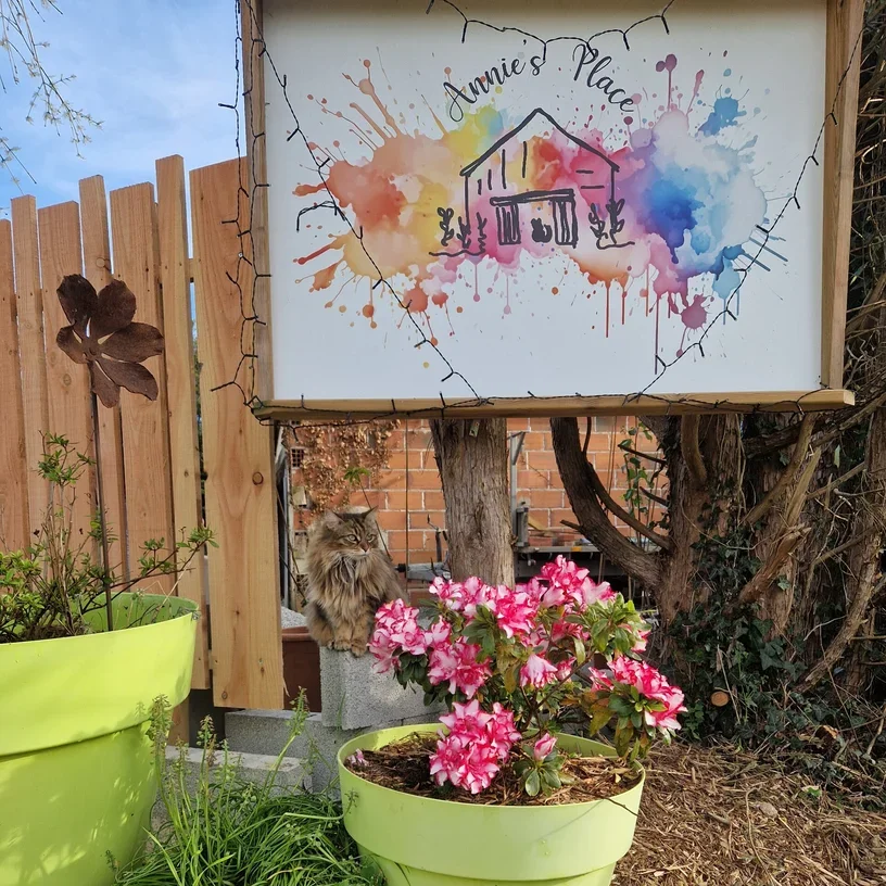 A colorful sign with splashes of watercolor paint and a house drawing, inscribed with 'Annie's Place,' is mounted on a wooden structure in a garden. Below the sign, a fluffy cat with long fur and striped markings sits on a cinder block. Pink and white flowers bloom in bright green pots nearby, and a wooden fence and brick wall are visible in the background.