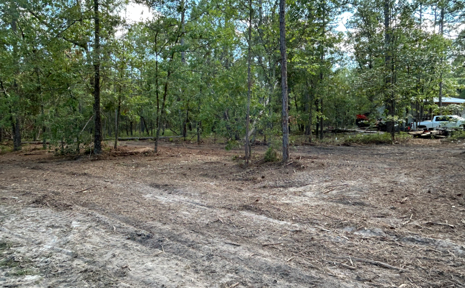 cleared land in south georgia