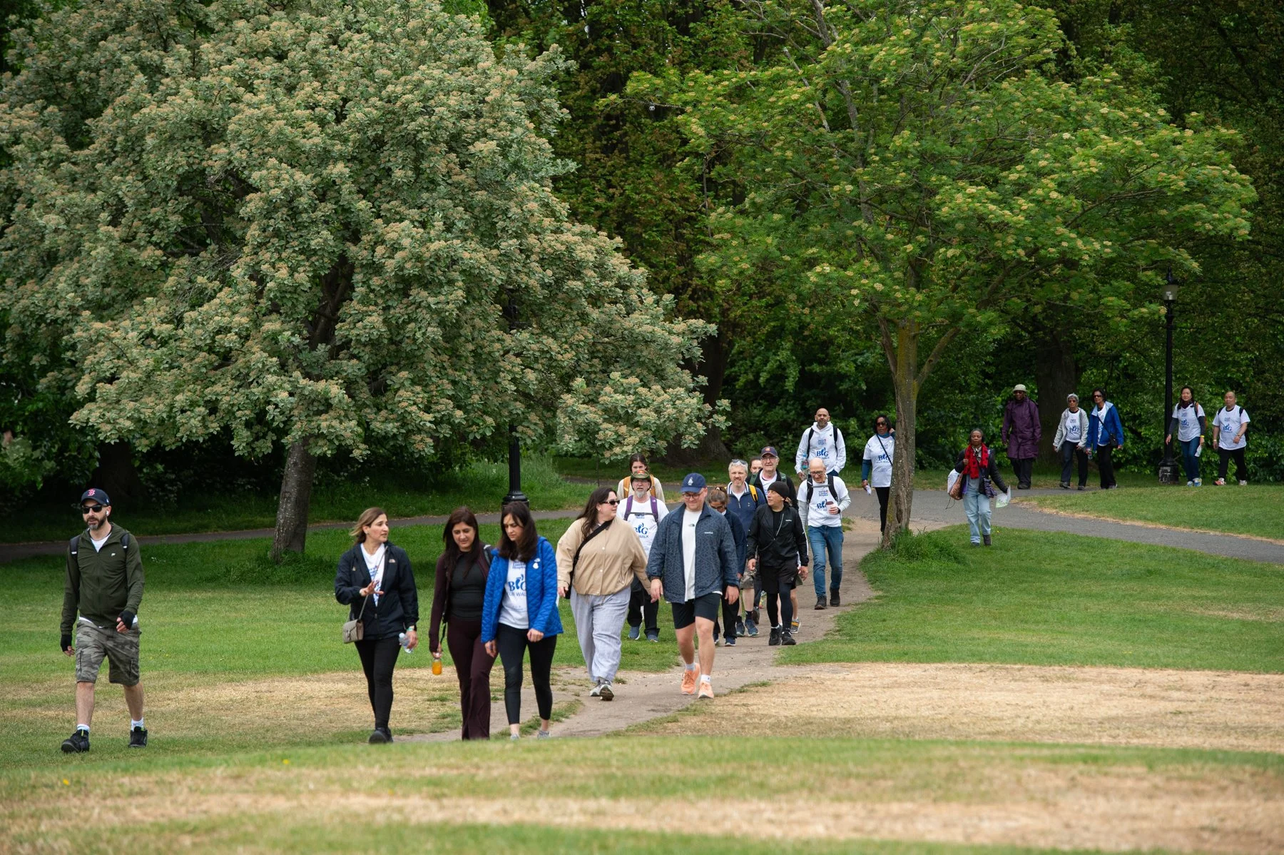 Group of diverse people walking in a park on a cloudy day, surrounded by green trees and grass.