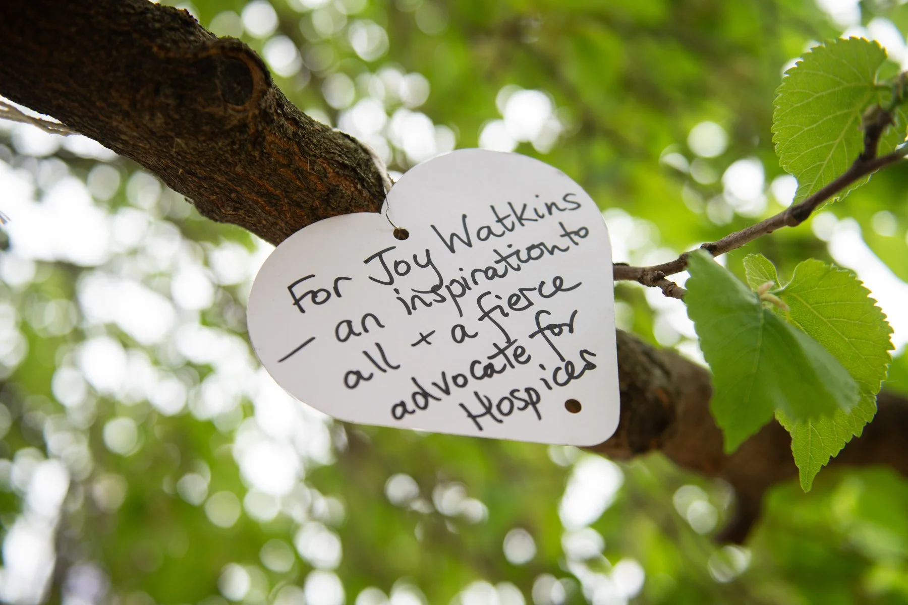 A heart-shaped note hanging from a tree branch with green leaves in the background, containing the message: "For Joy Watkins - an inspiration to all + a fierce advocate for hospice".