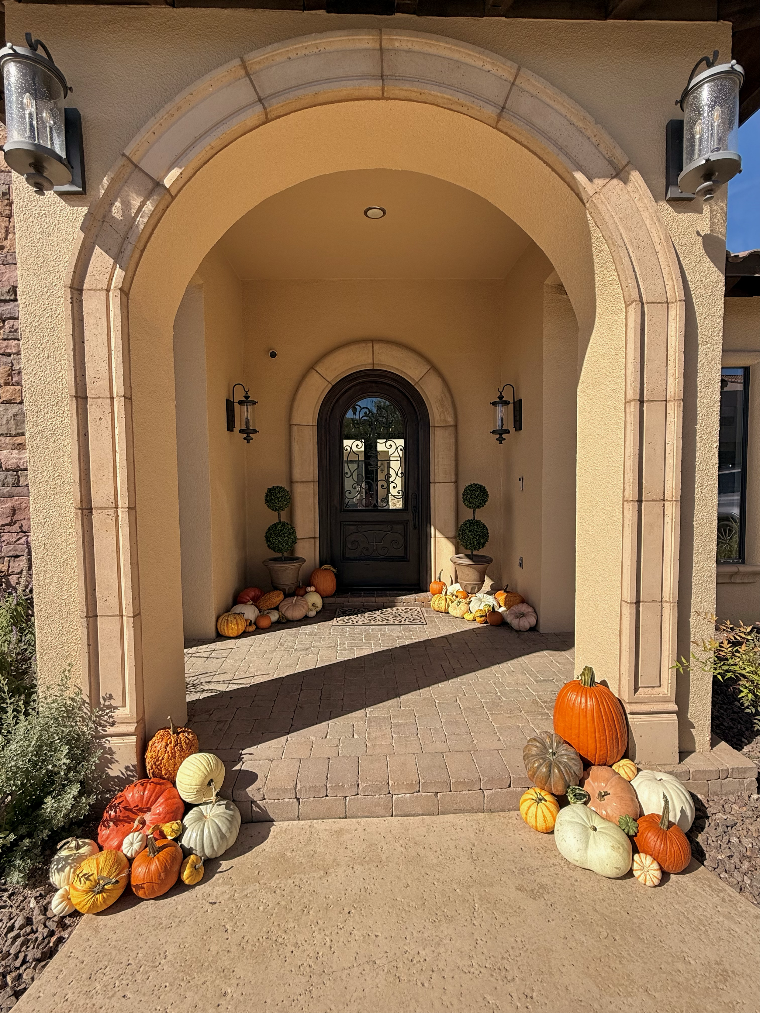 Front entrance decorated with pumpkins for fall or Halloween, with pumpkins and gourds arranged on steps and sides, and potted topiary plants flanking the door.