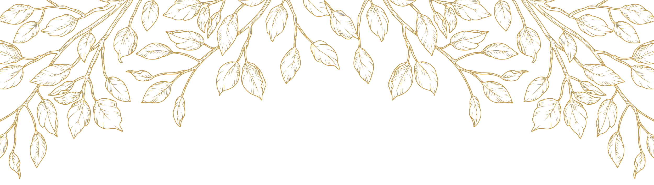 Gold outline of a trailing branch with multiple leaves on a black background.
