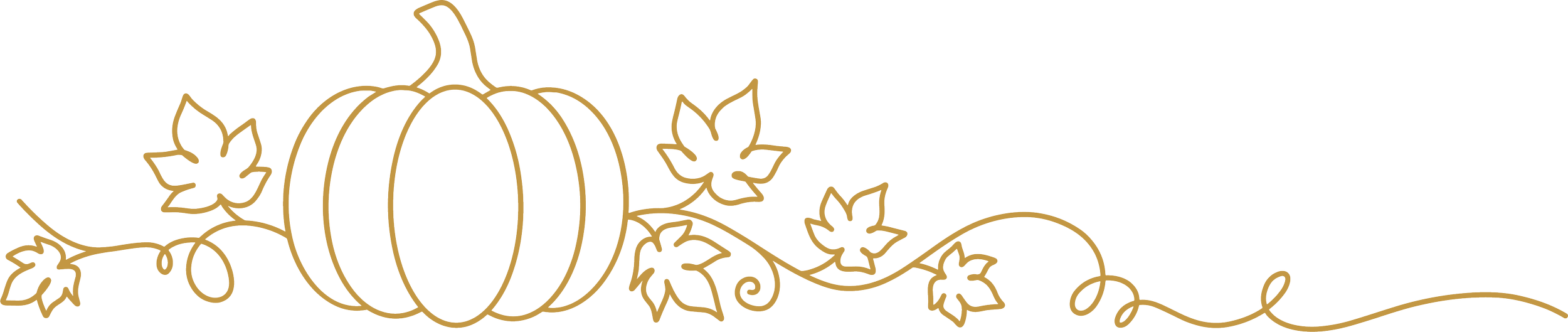 Line drawing of a pumpkin with decorative leaves and vines.