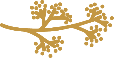 A stylized illustration of a tree branch with small round leaves or buds.