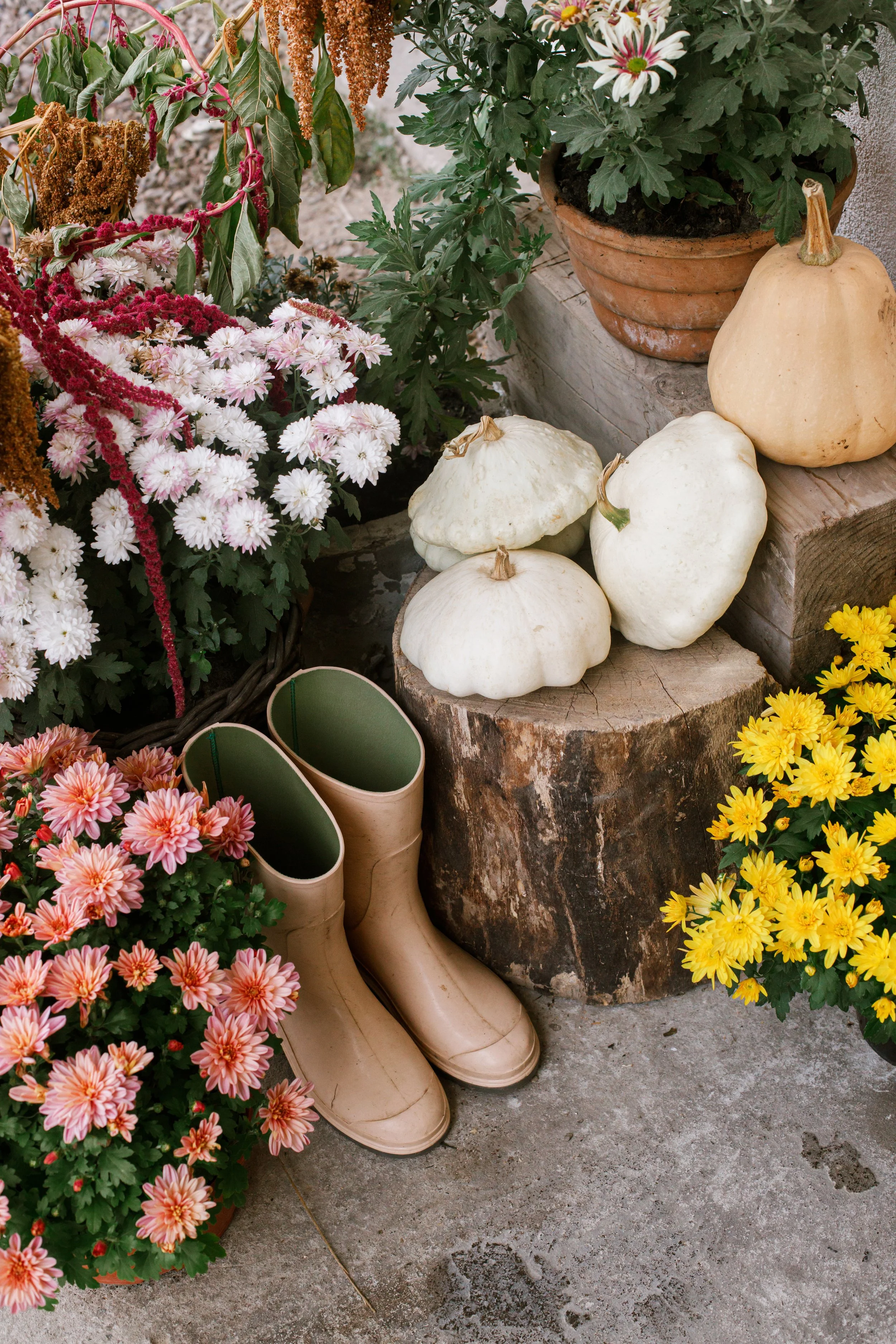 A display of fall harvest items including white pumpkins and gourds, surrounded by potted flowers and boots on a wooden log.
