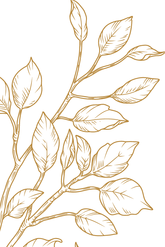 Gold line drawing of a leafy plant branch against a black background.