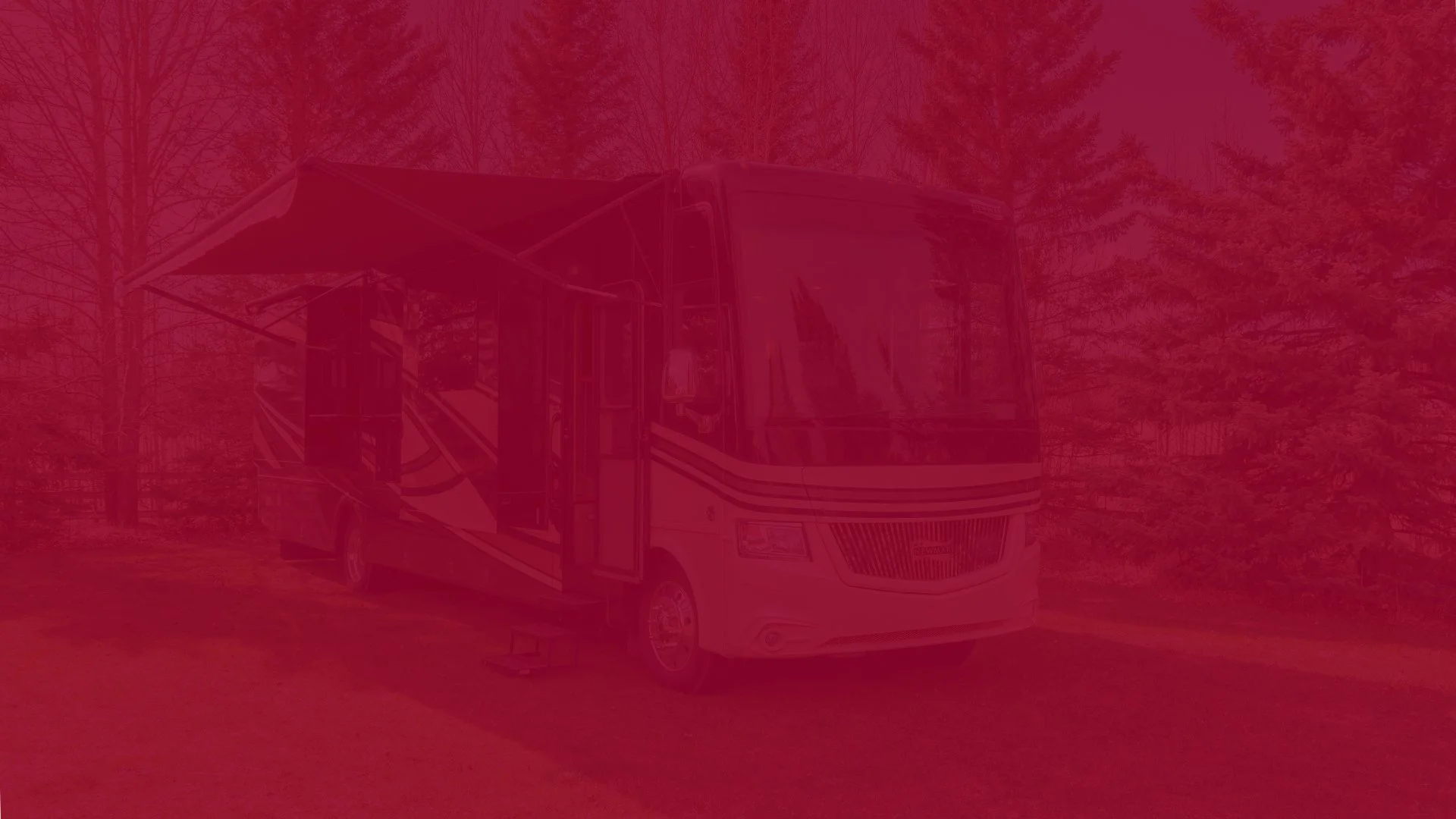 A motorhome parked on a grassy area surrounded by trees.