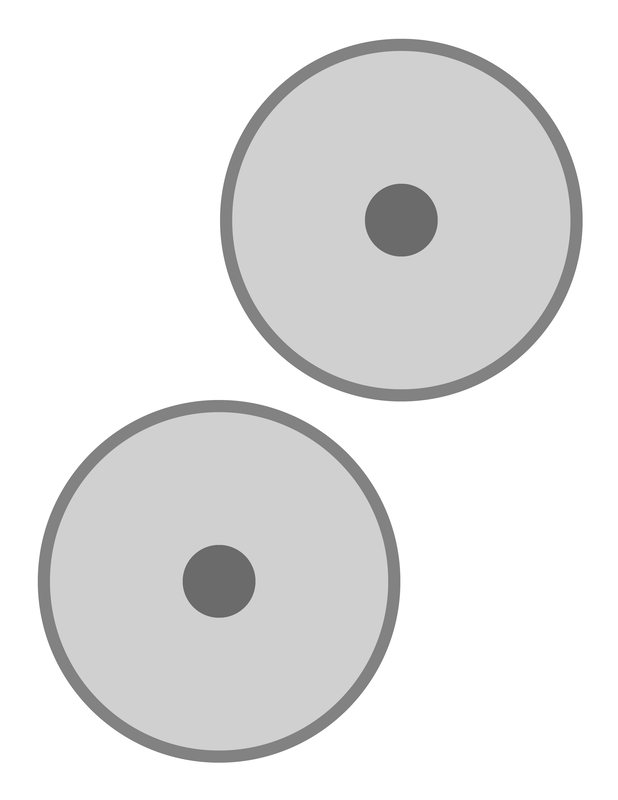 Two grey CD or DVD discs with black centers, positioned diagonally.