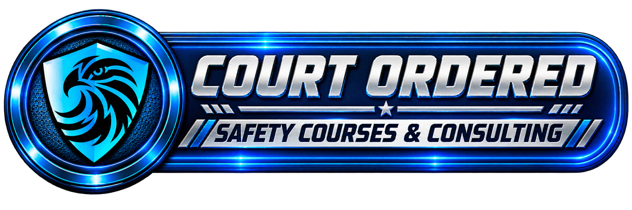 A blue and silver logo for 'Court Ordered Safety Courses & Consulting' featuring a stylized eagle head inside a shield and glowing lines.