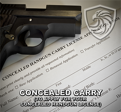 Close-up of a concealed handgun inside a concealed carry license application form.