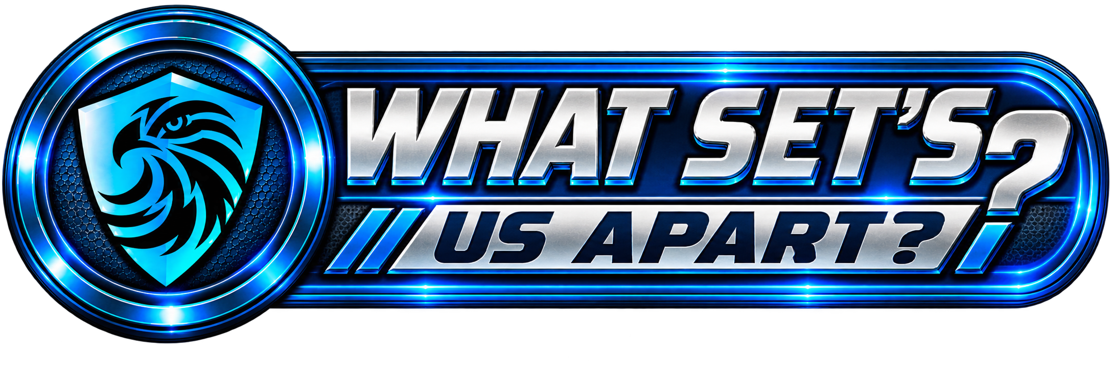 Blue and silver logo for 'What Sets Us Apart?', featuring a shield with a stylized eagle's head emblem on the left and the text in bold, metallic letters on the right.