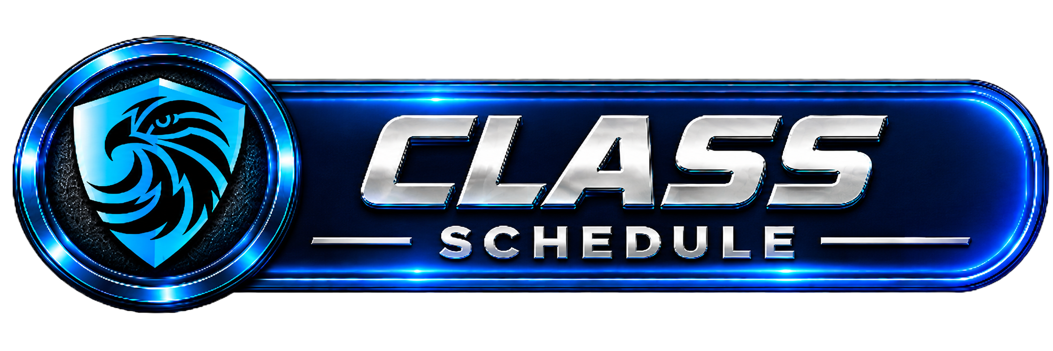 Futuristic blue and black badge with a stylized eagle logo and the text 'CLASS SCHEDULE' in metallic letters.