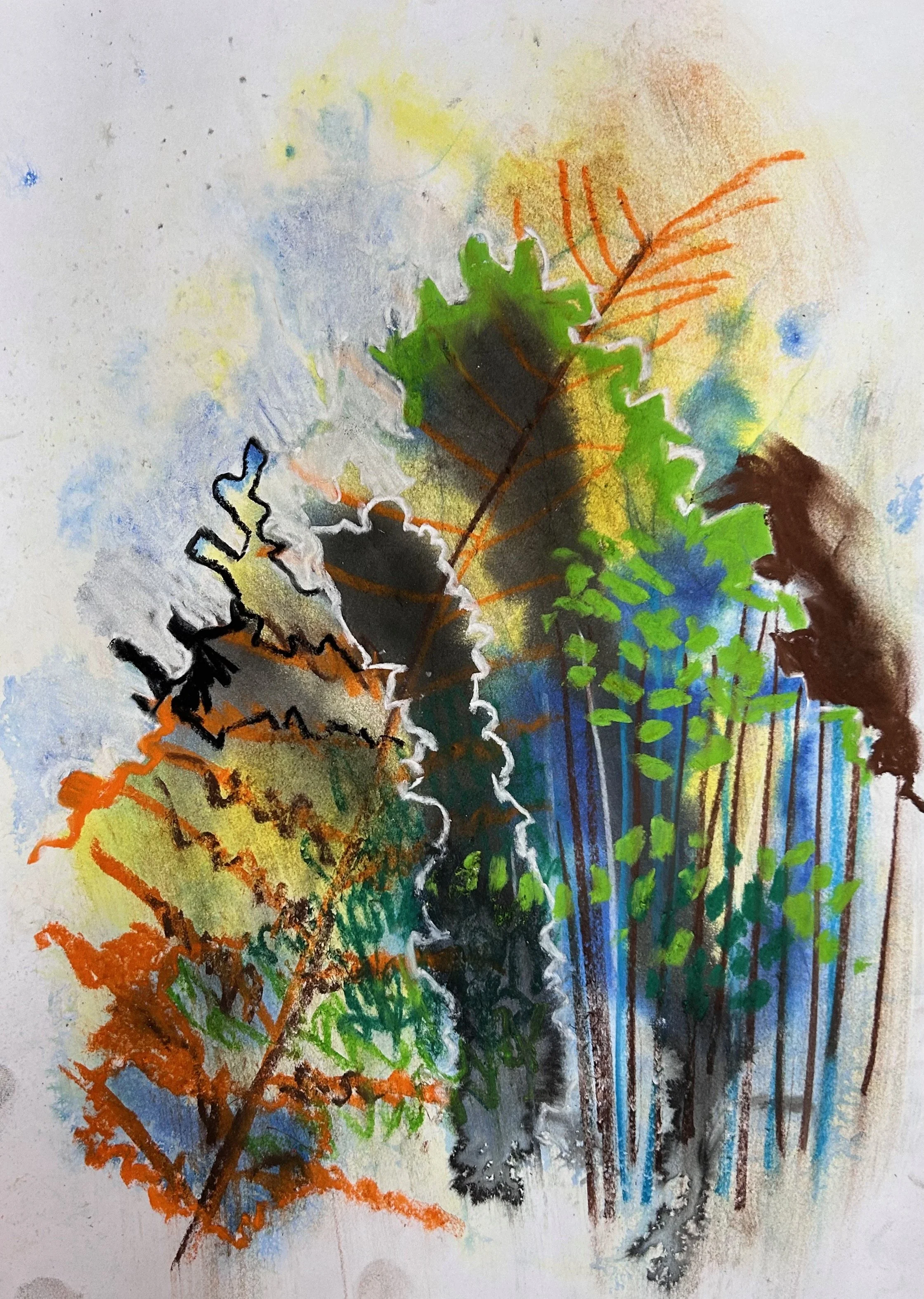 Nature studies