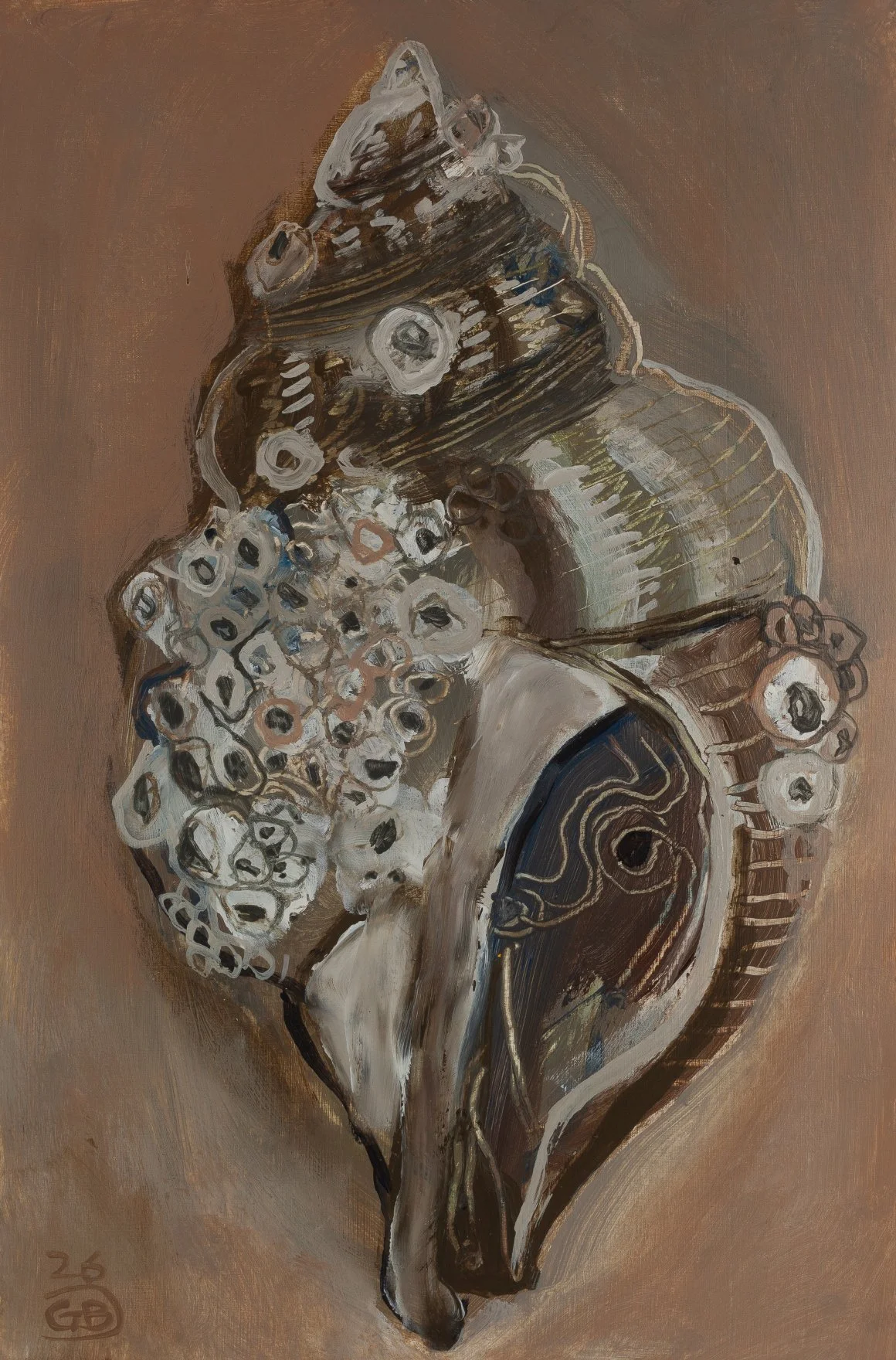 Seashell and barnacles
