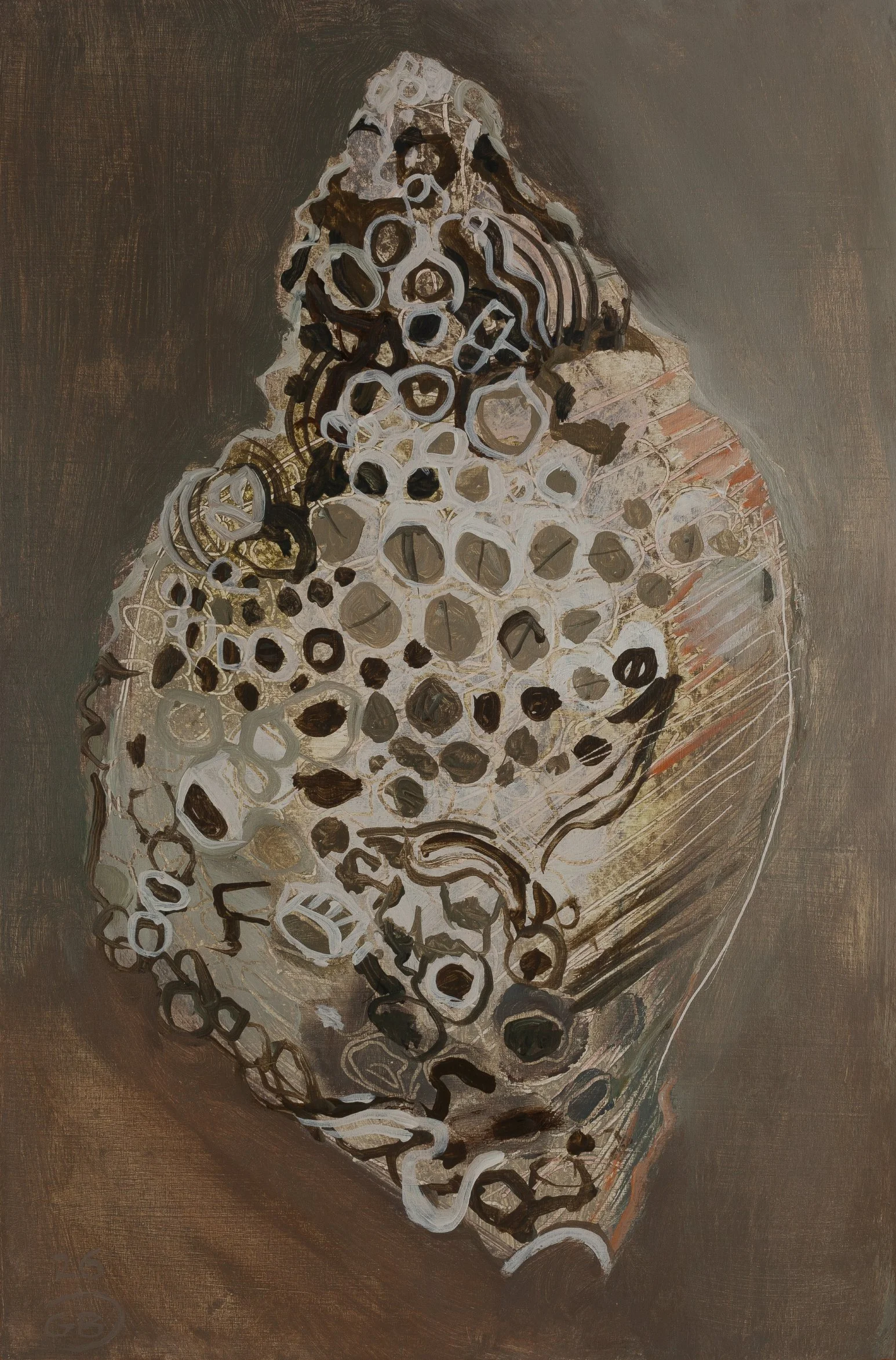 Seashell with barnacles and serpulid tubeworm casings