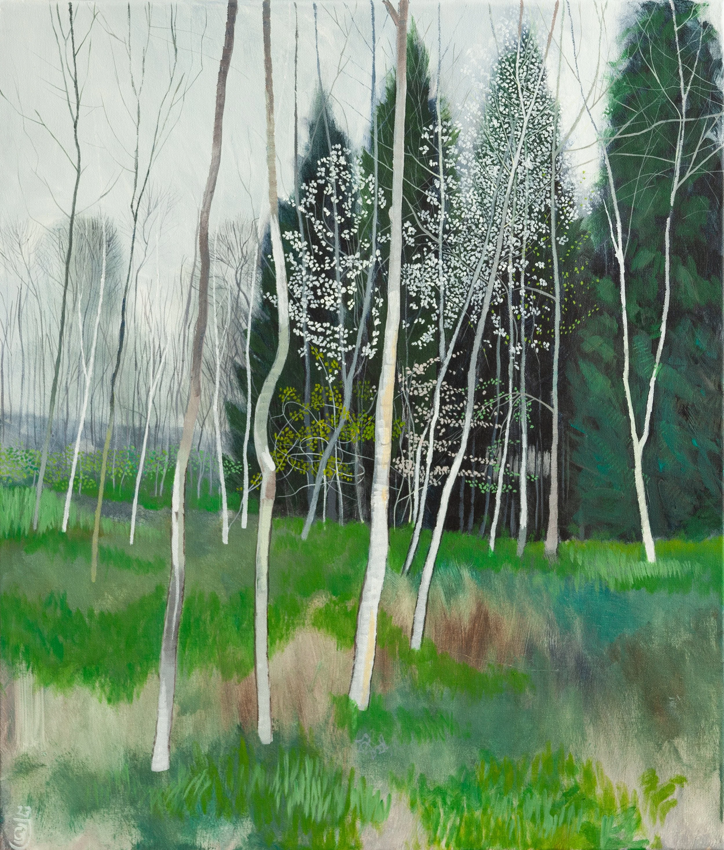 Trees
