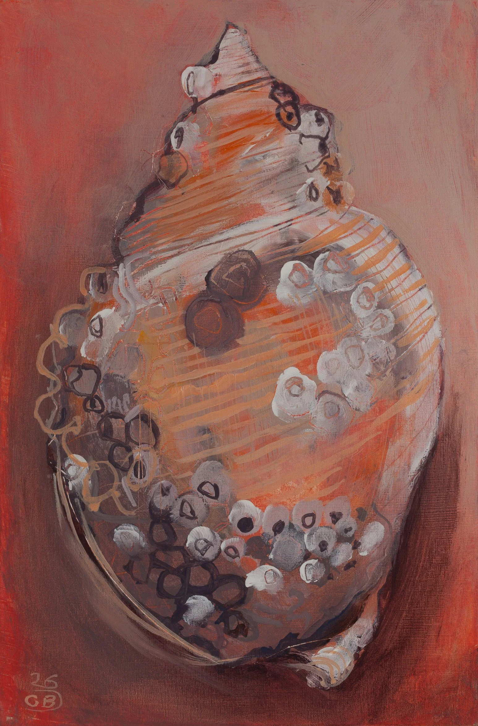 Sea shell