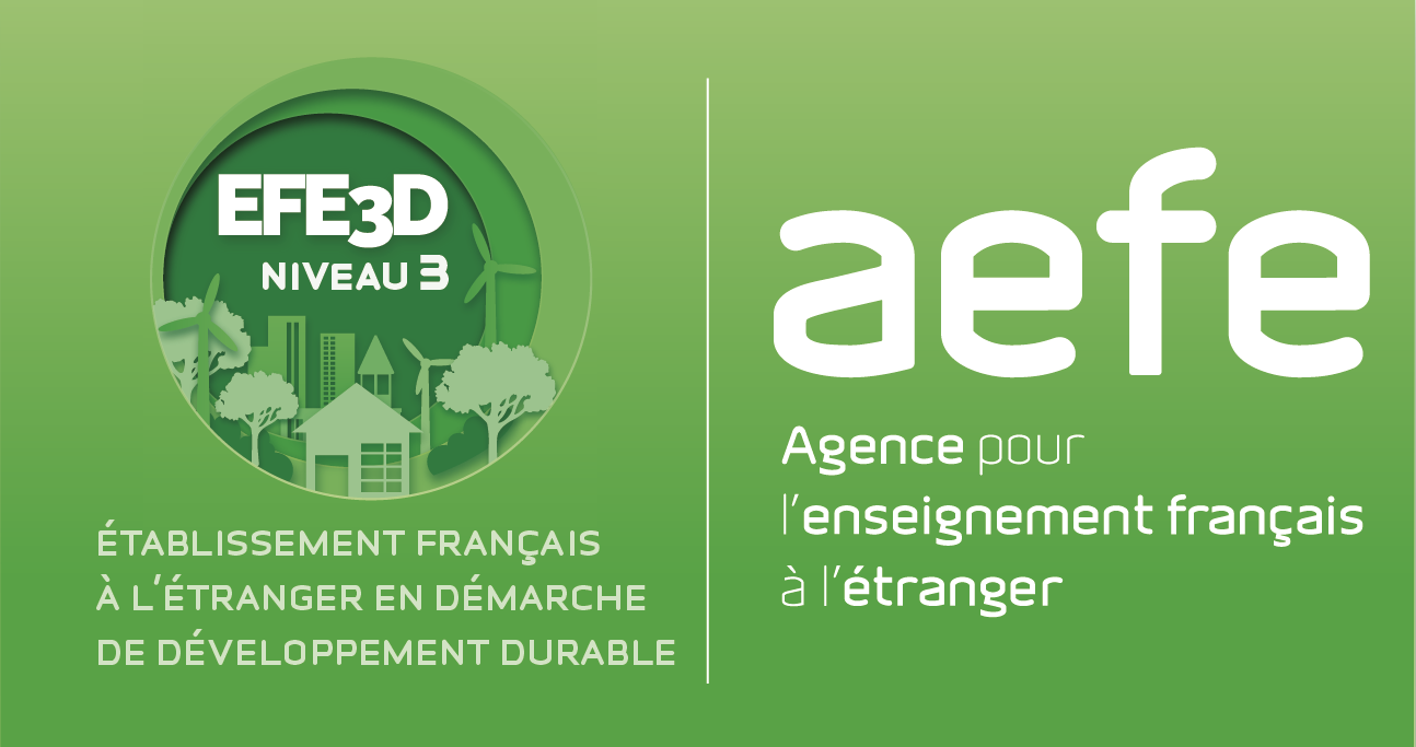 aefe-EFE3D-logo.png