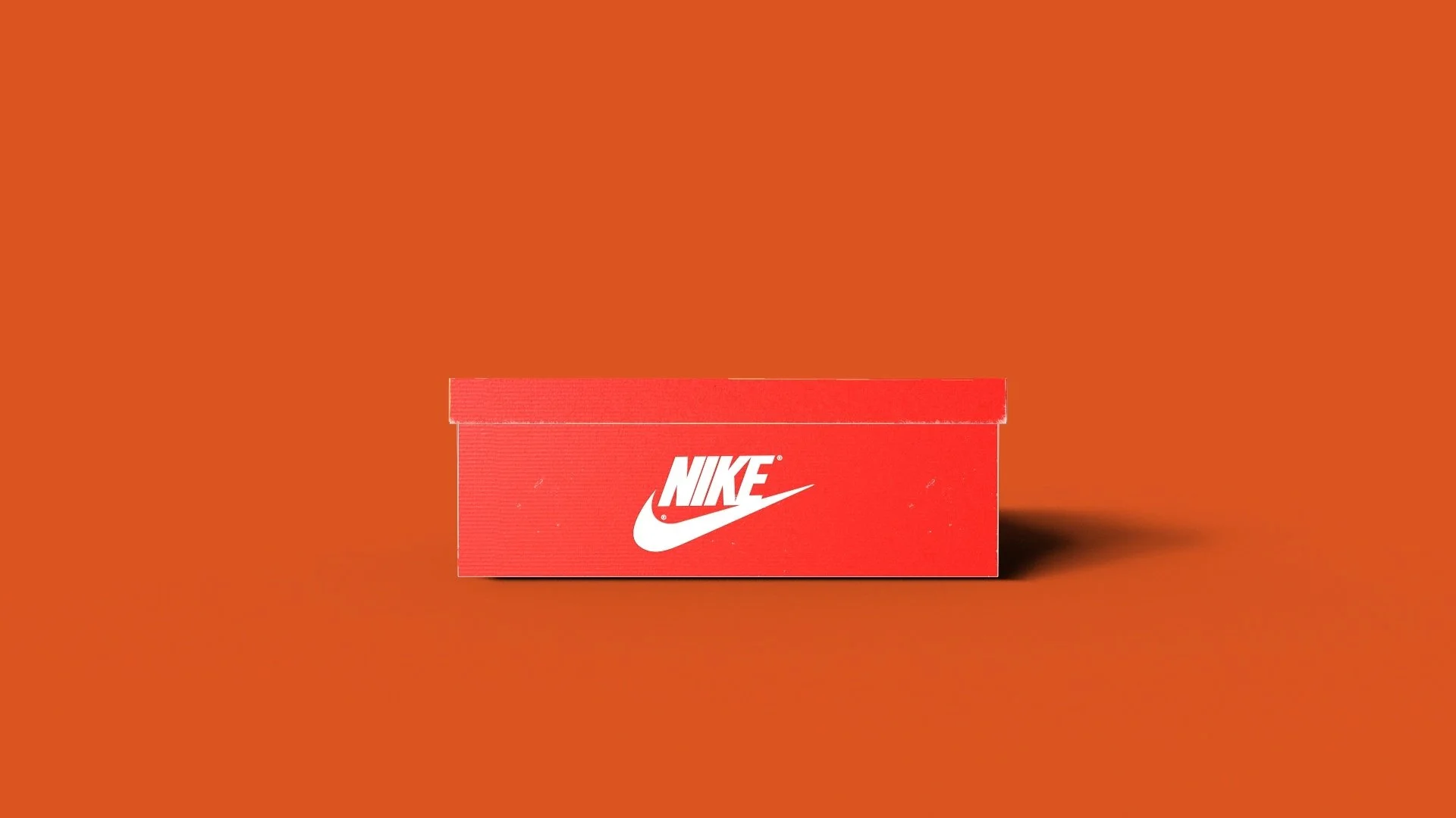 fakenikead-00.00.05.031.jpg